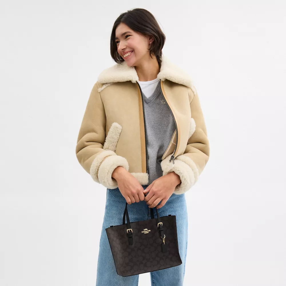 Сумка COACH Mollie Tote Bag 25 In Signature Canvas