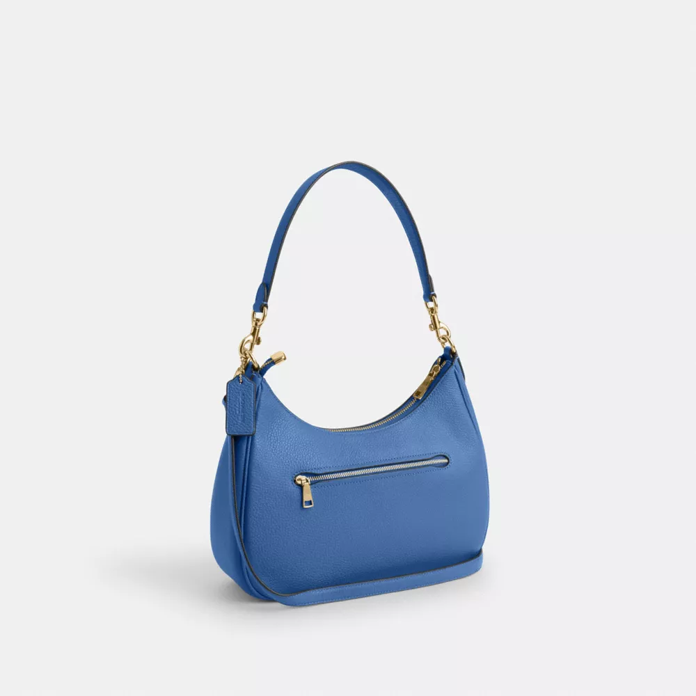 Сумка COACH Teri Hobo Bag