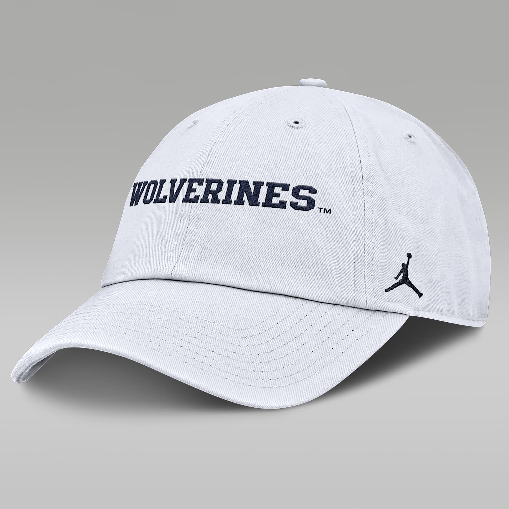 Michigan Wolverines Core Club Mascot Wordmark Men's Jordan Brand College Adjustable Hat