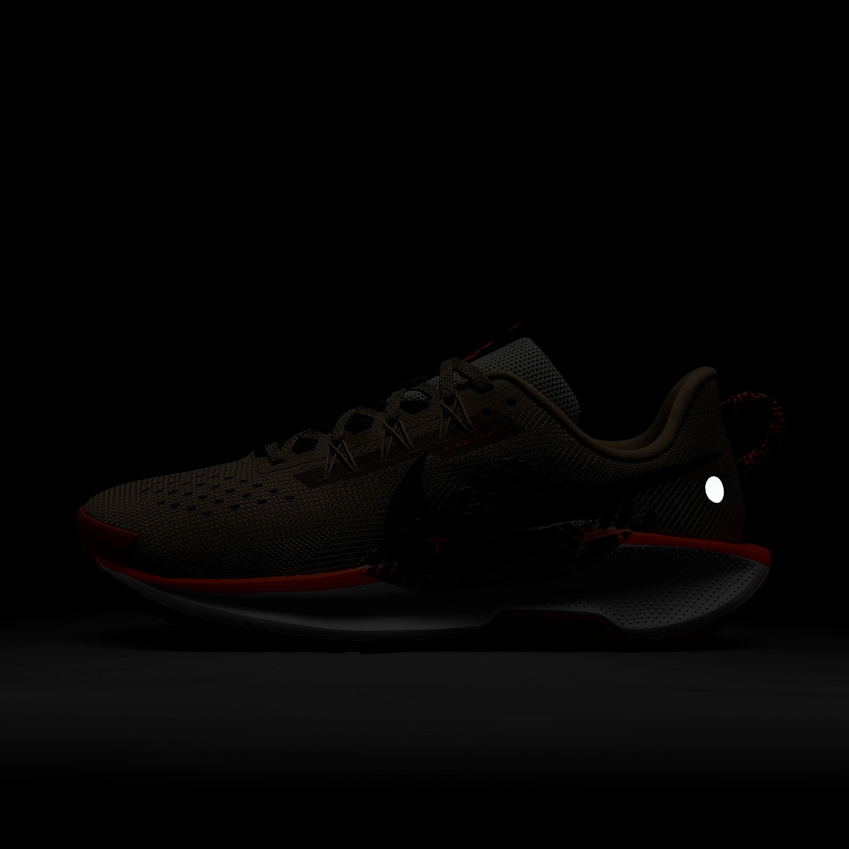 Nike Pegasus Trail 5 Women's Trail Running Shoes