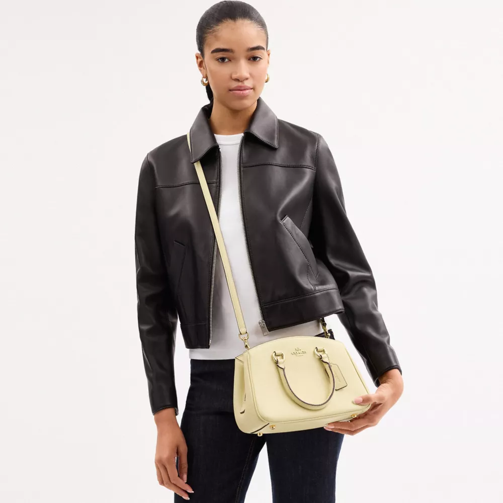 Сумка COACH Savannah Small Carryall Bag