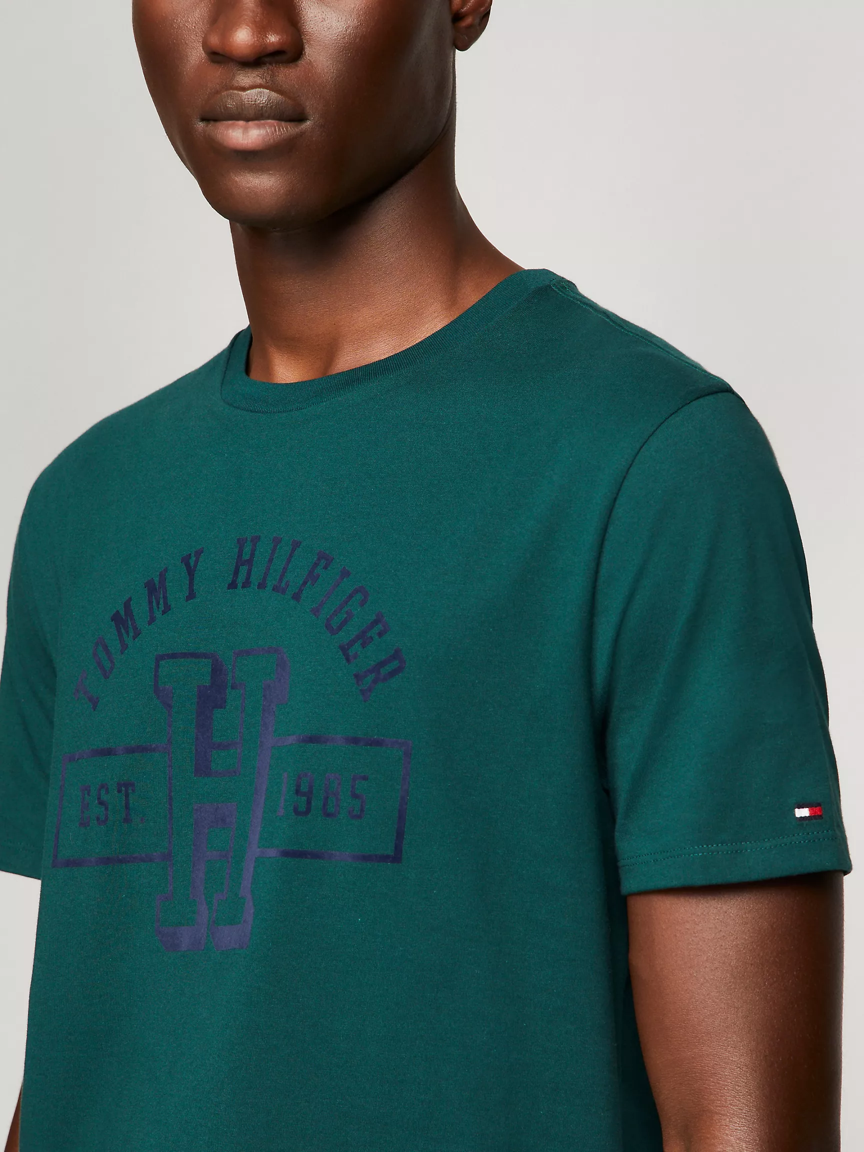 Мужская футболка Tommy Hilfiger, Футболка с логотипом Hilfiger Established