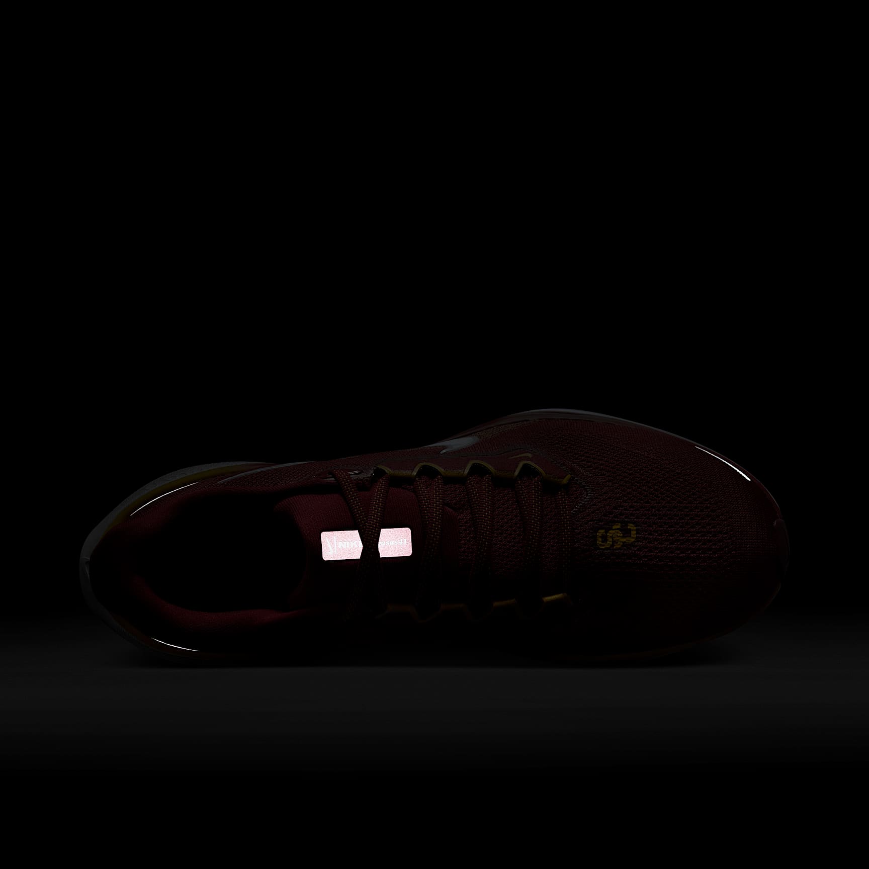 USC Pegasus 41 Men's Nike College Road Running Shoes