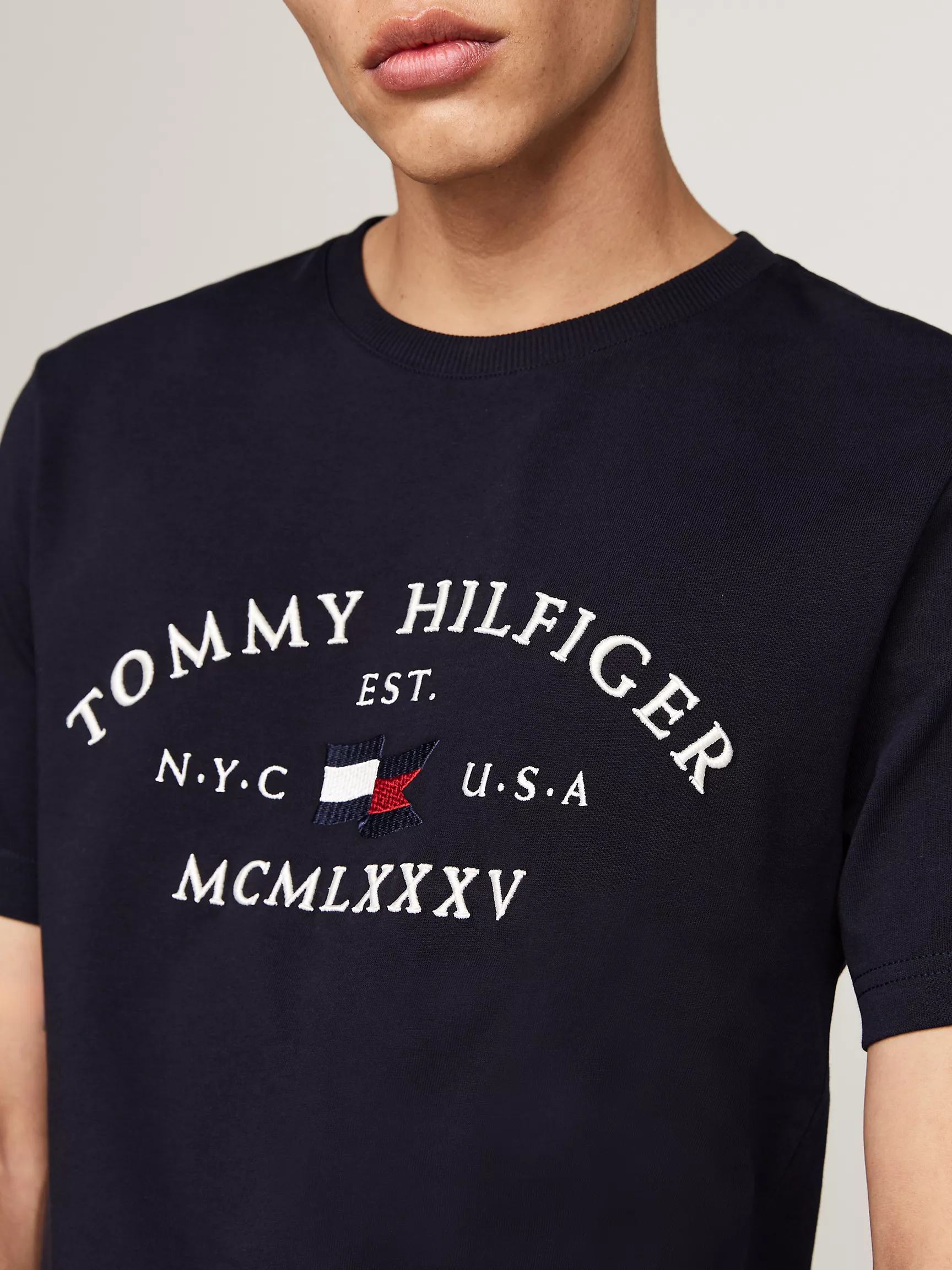 Мужская футболка Tommy Hilfiger, Футболка с вышитым логотипом Tommy Arch