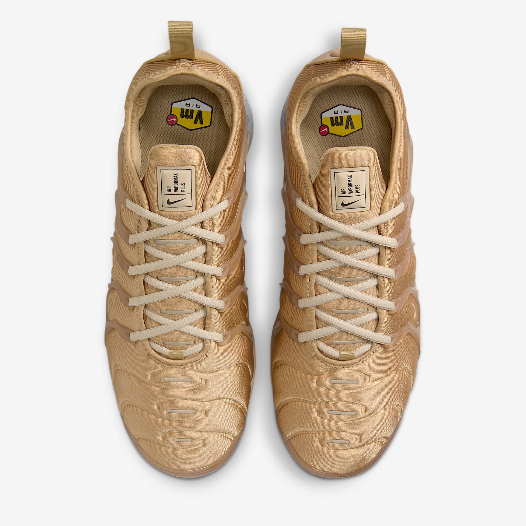 Nike Air VaporMax Plus Men's Shoes