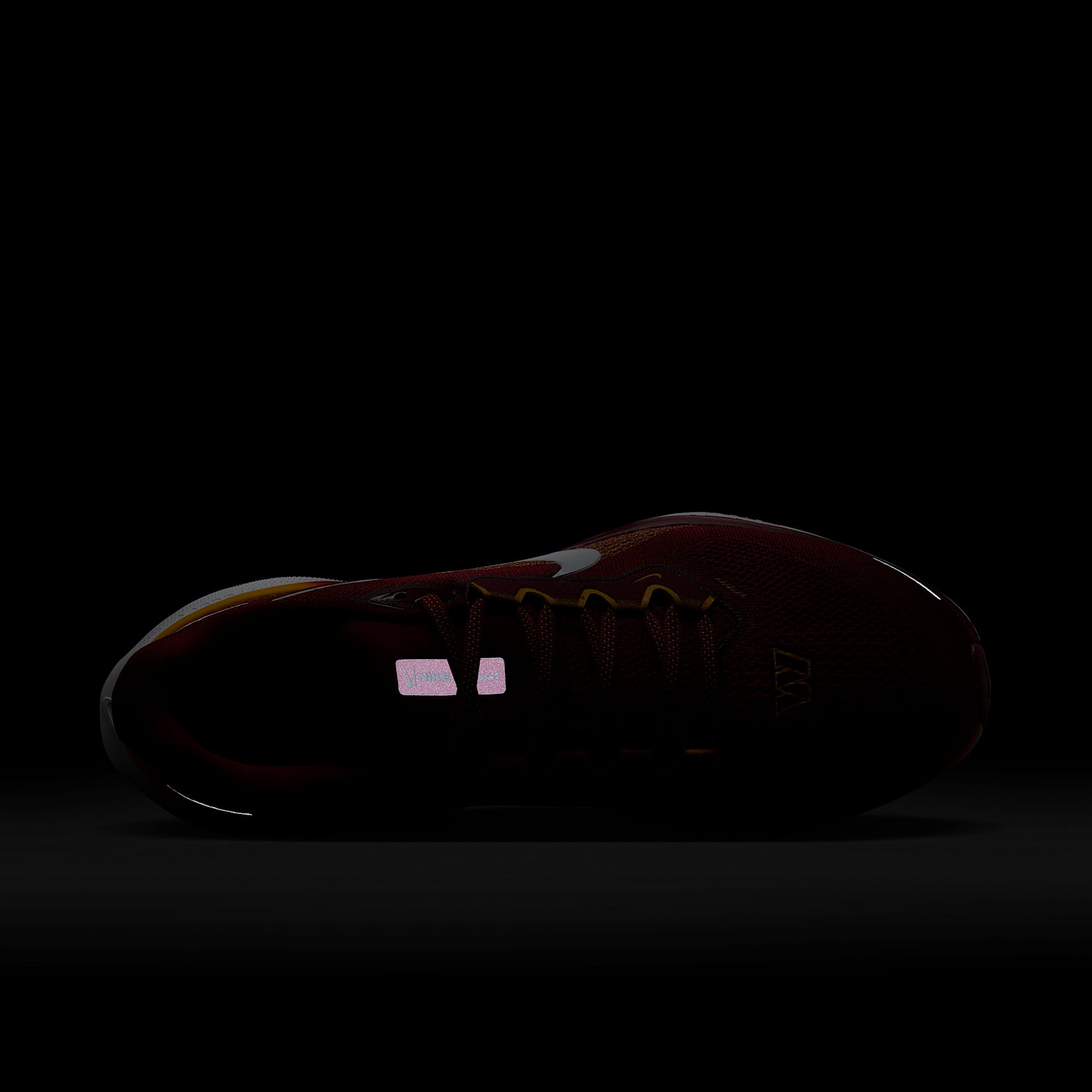 Nike Pegasus 41 NFL Washington Commanders Men's Road Running Shoes