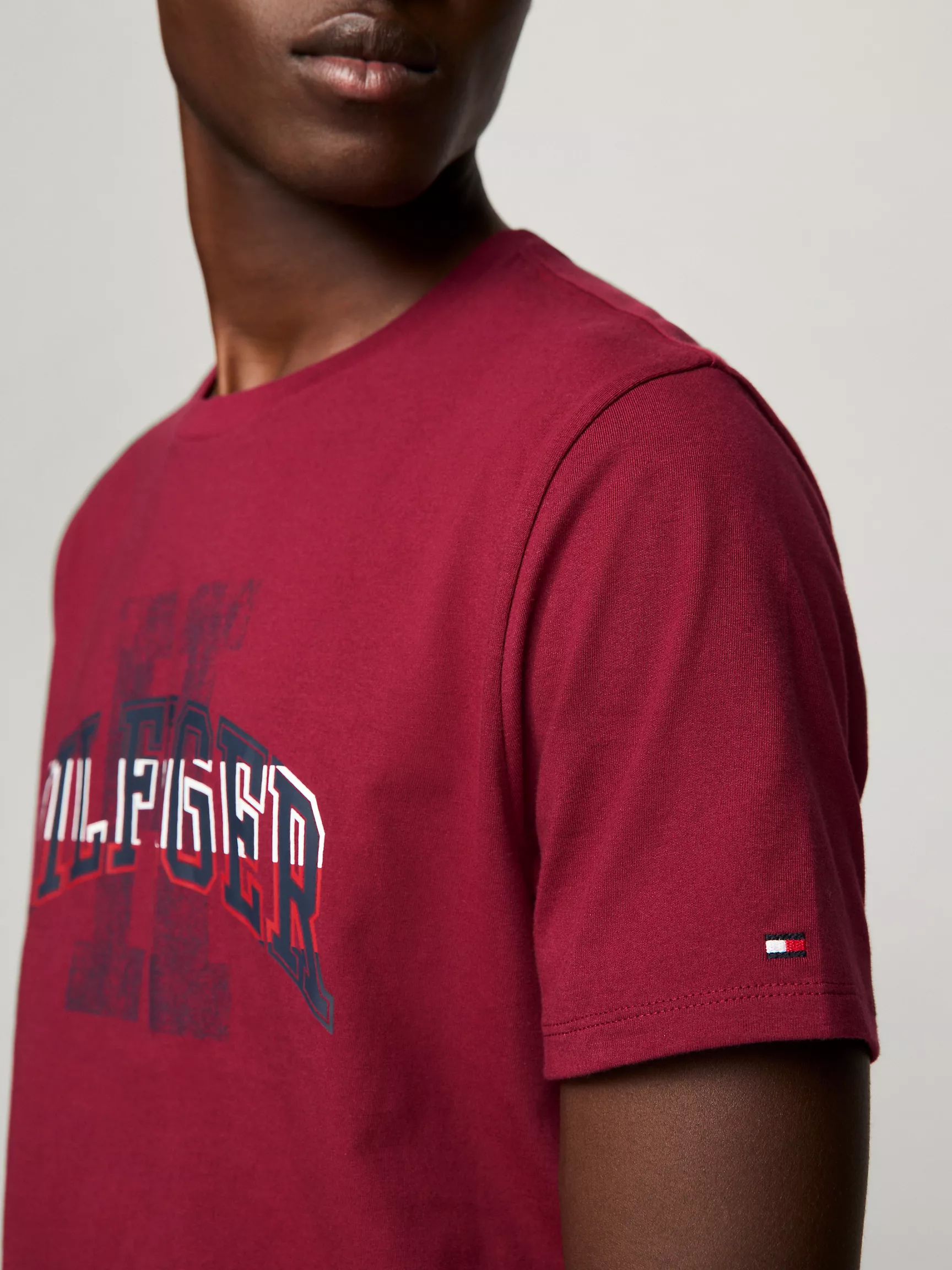 Мужская футболка Tommy Hilfiger, Футболка с графическим логотипом Hilfiger