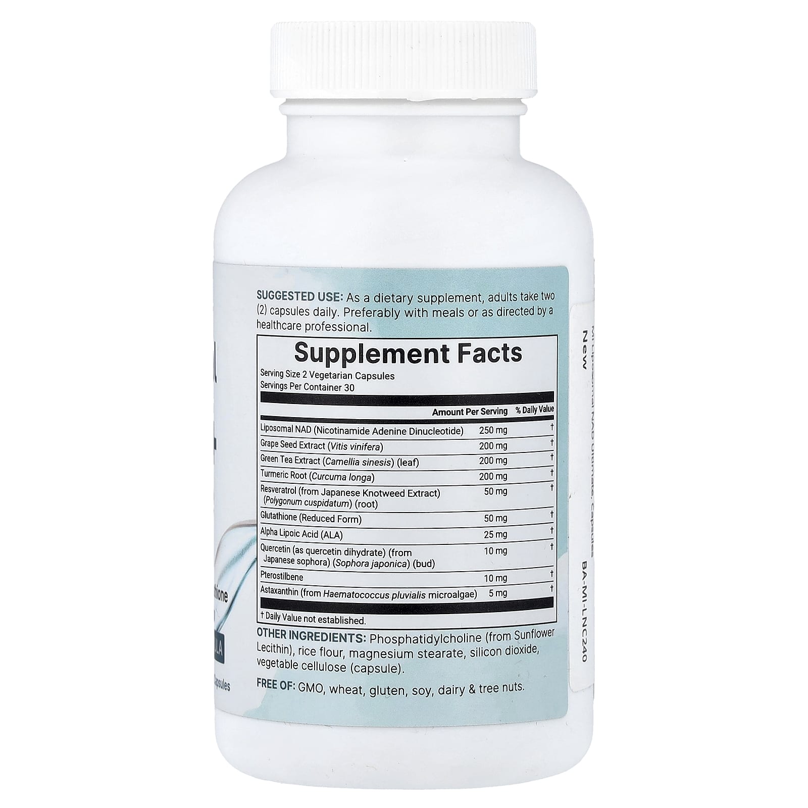 Micro Ingredients, липосомальный НАД + Ultimate, 60 вегетарианских капсул