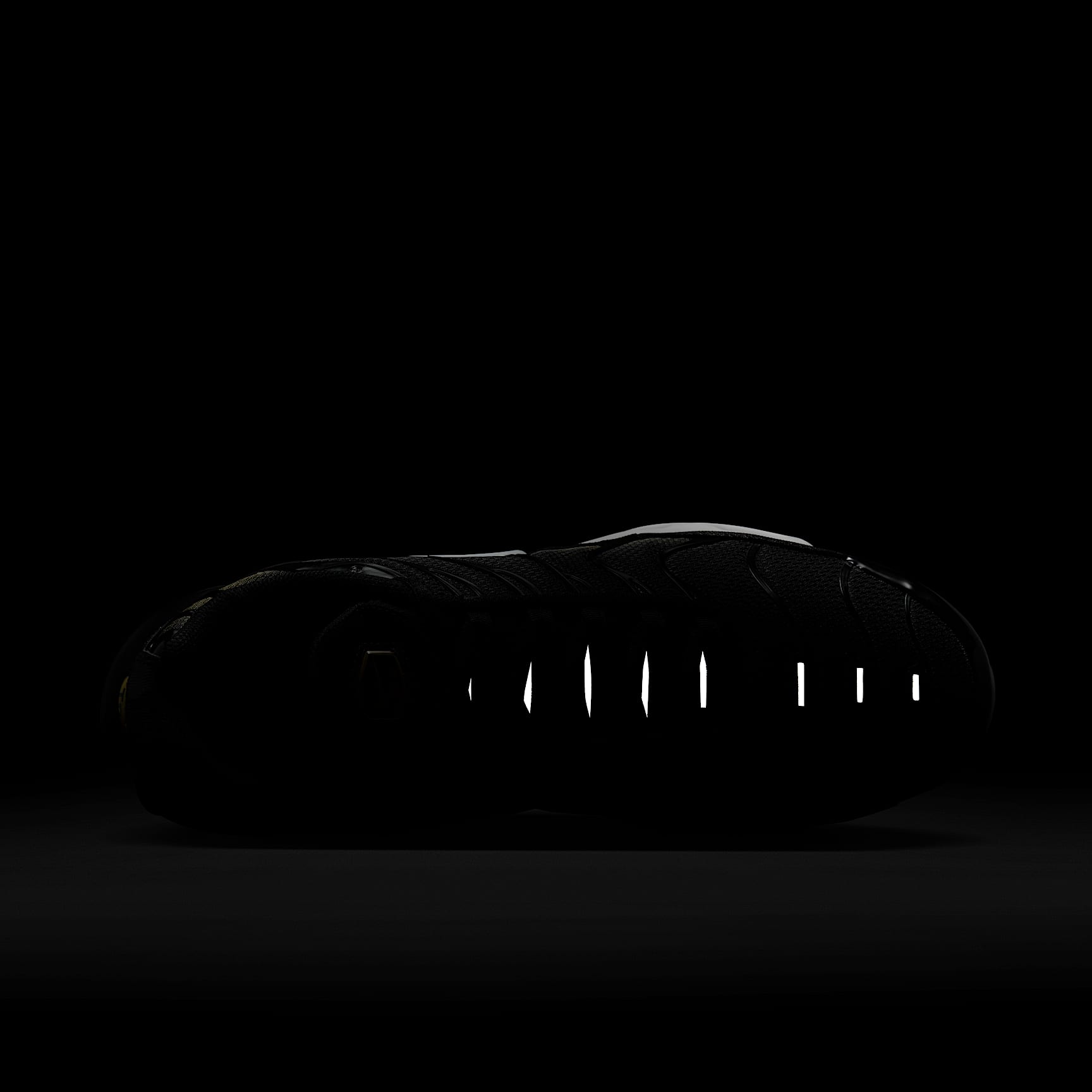 Nike Air Max Plus Men's Shoes