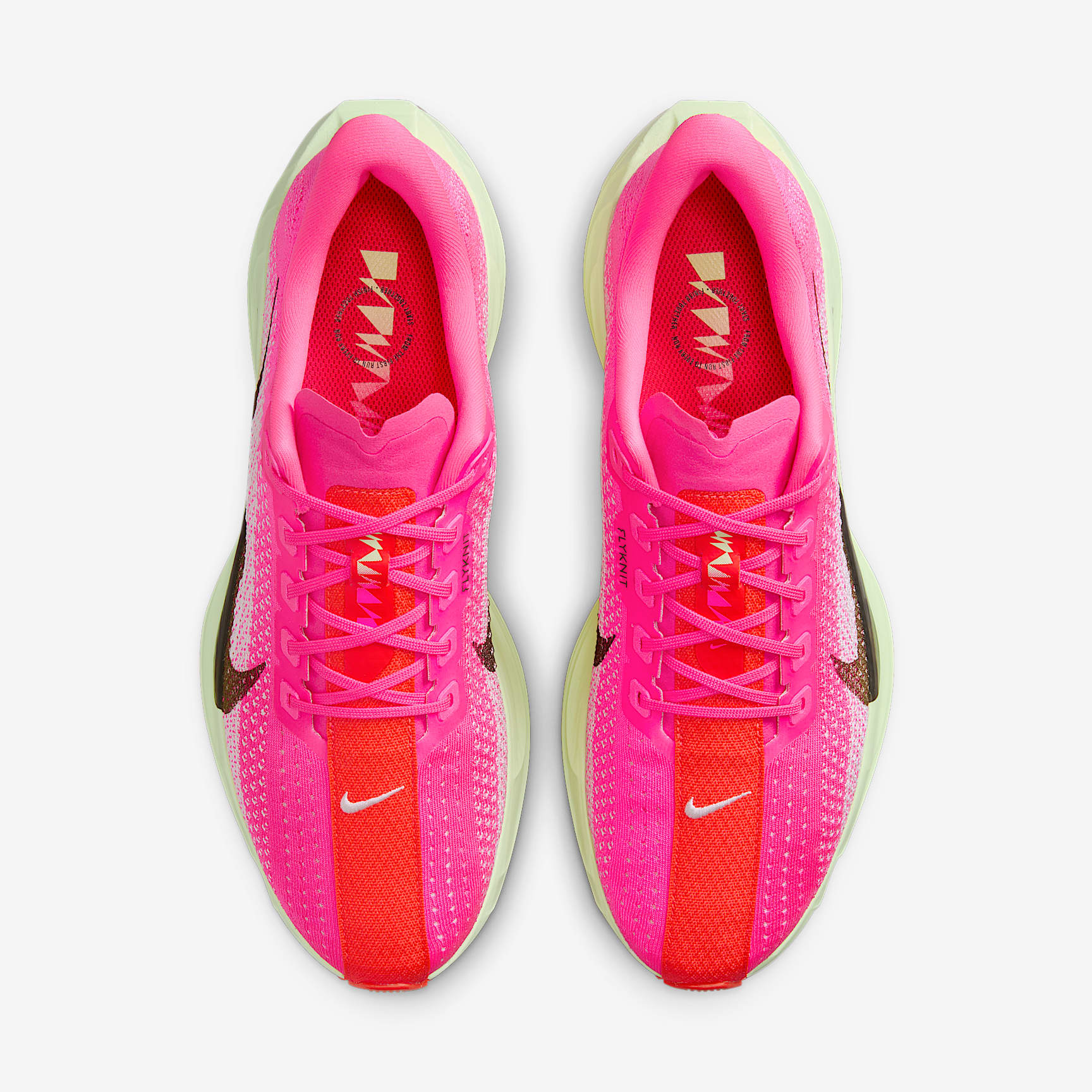 Nike Pegasus Plus Men's Road Running Shoes