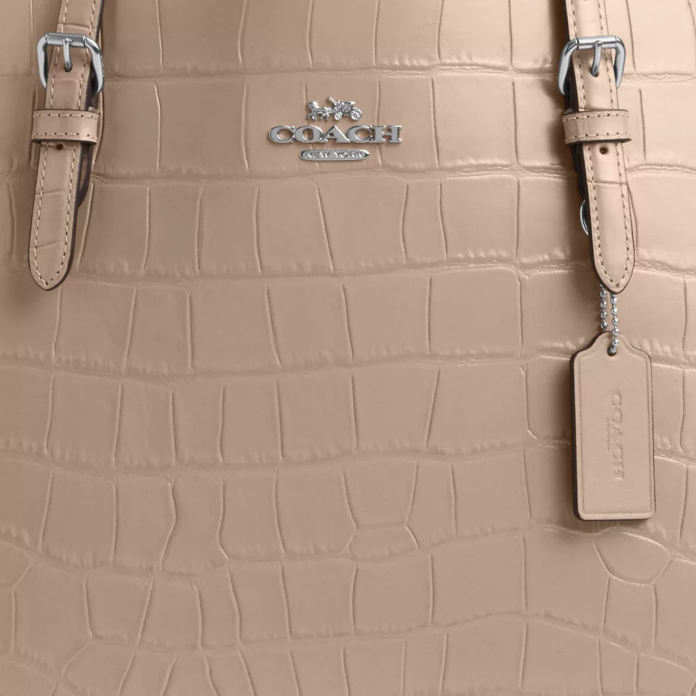 Сумка COACH Mollie Tote Bag
