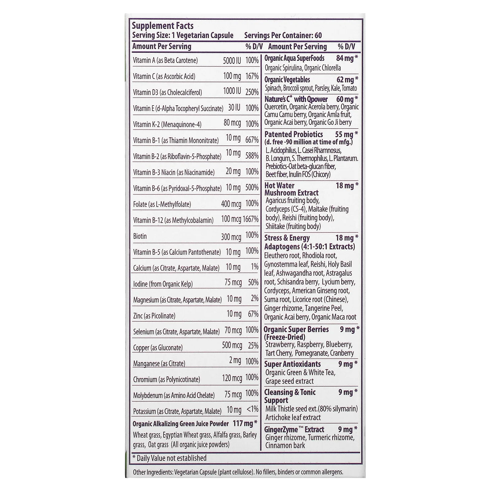 Paradise Herbs, Earth's Blend, ежедневные мультивитамины из суперпродуктов, без железа, 60 вегетарианских капсул