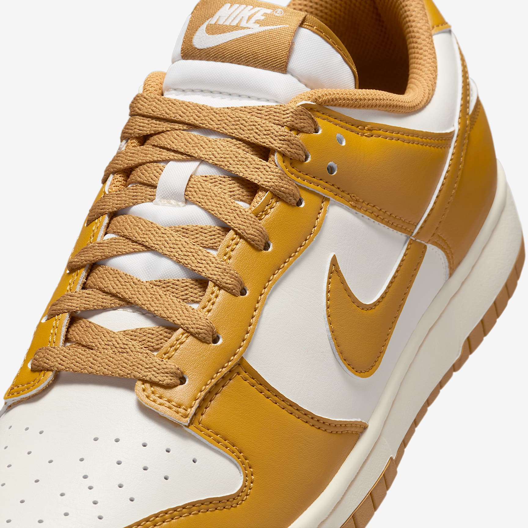 Nike Dunk Low Retro Men's Shoes