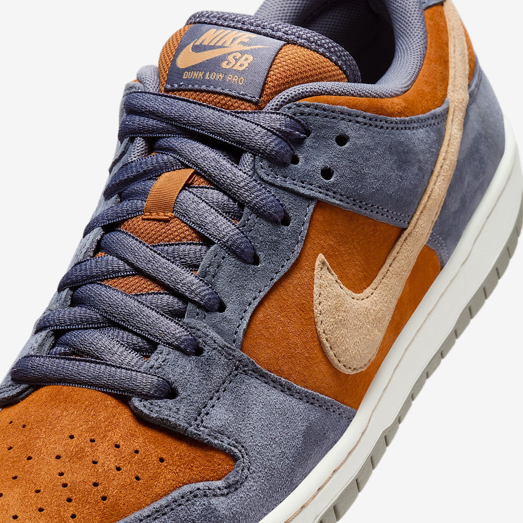 Nike SB Dunk Low Pro Skate Shoes