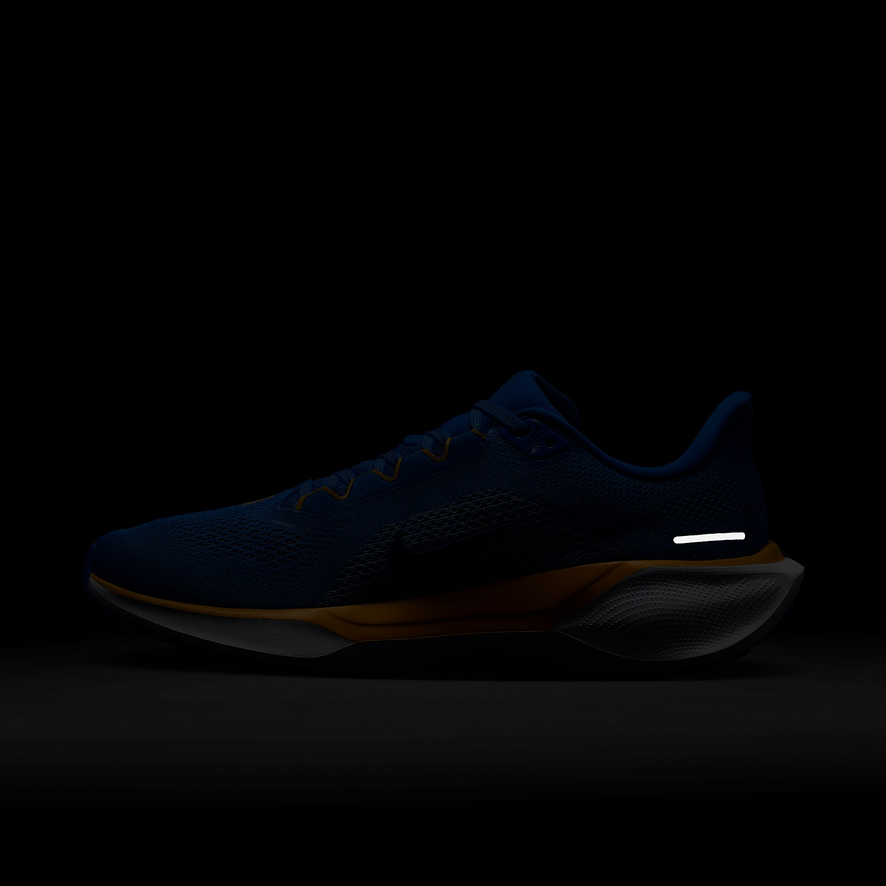 UCLA Pegasus 41 Men's Nike College Road Running Shoes