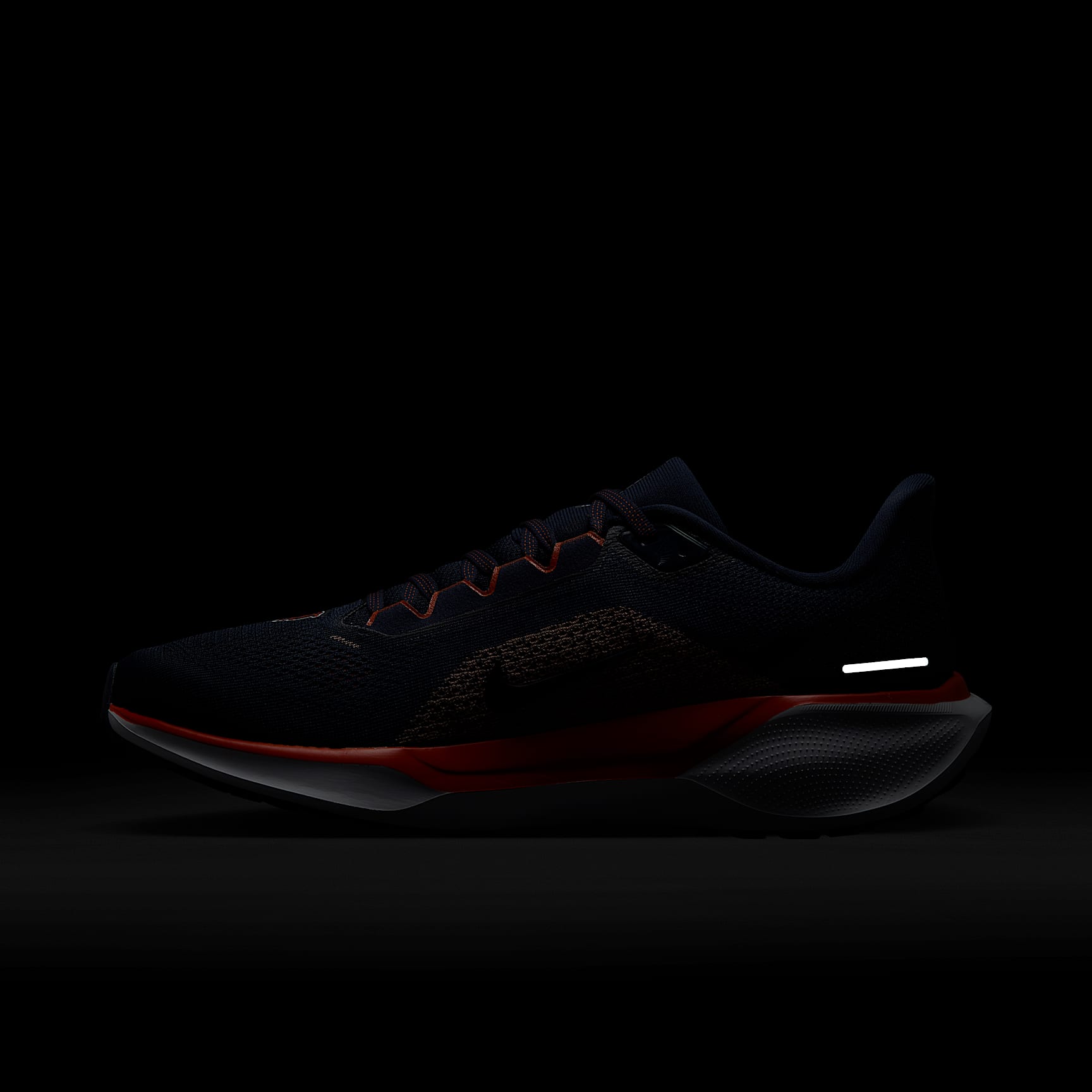 Nike Pegasus 41 NFL Chicago Bears Men's Road Running Shoes