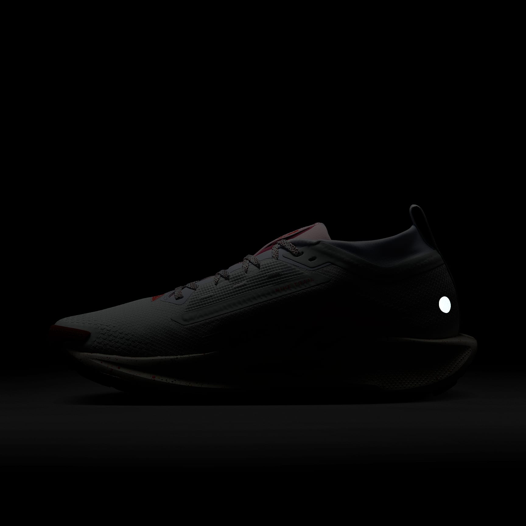 Nike Pegasus Trail 5 GORE-TEX Men's Waterproof Trail Running Shoes