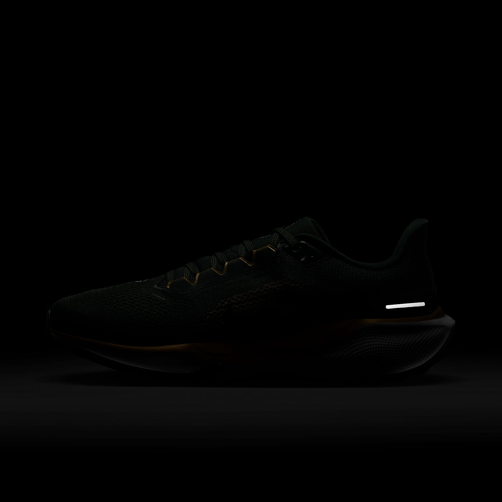 Nike Pegasus 41 NFL Green Bay Packers Men's Road Running Shoes