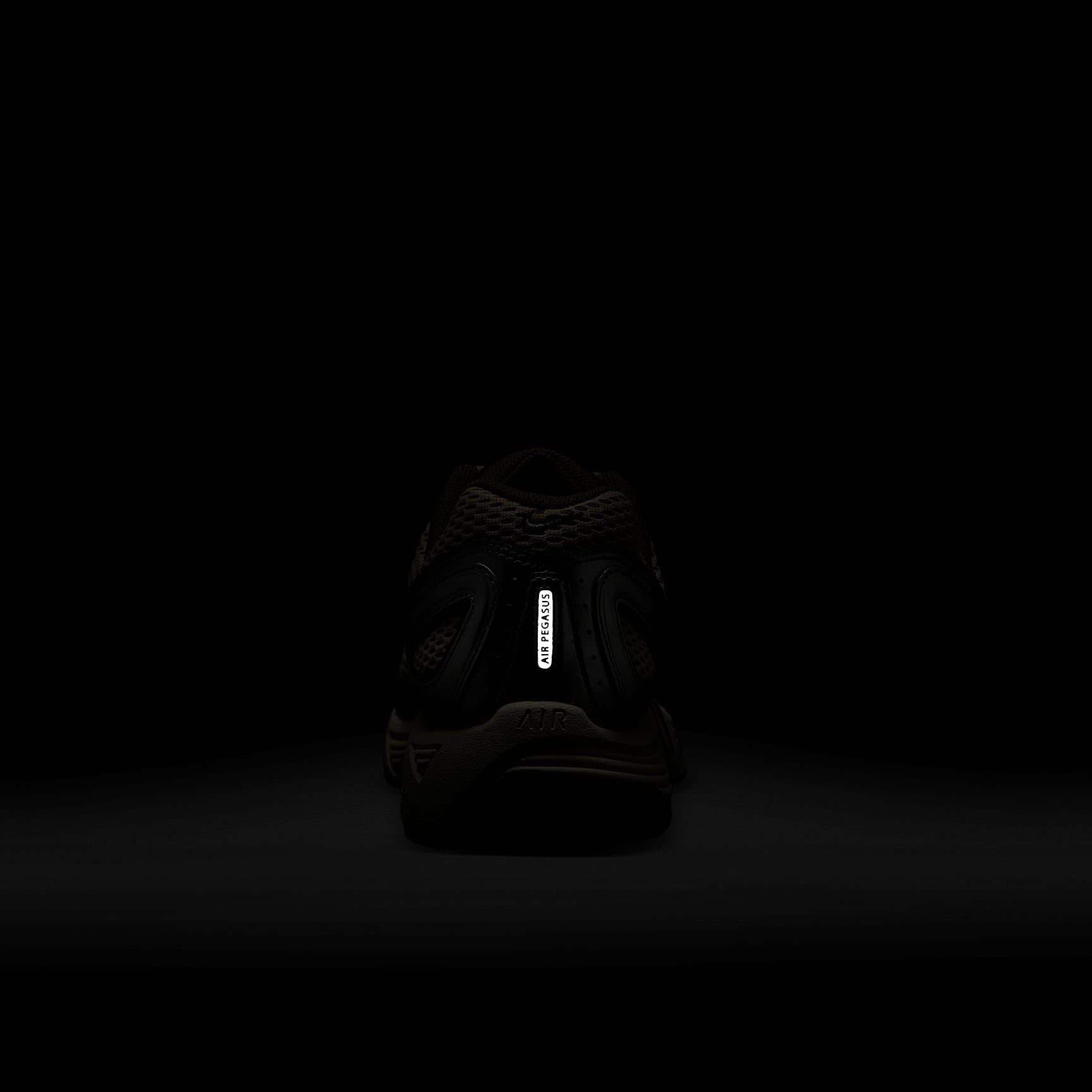 Nike Air Pegasus 2005 Men's Shoes