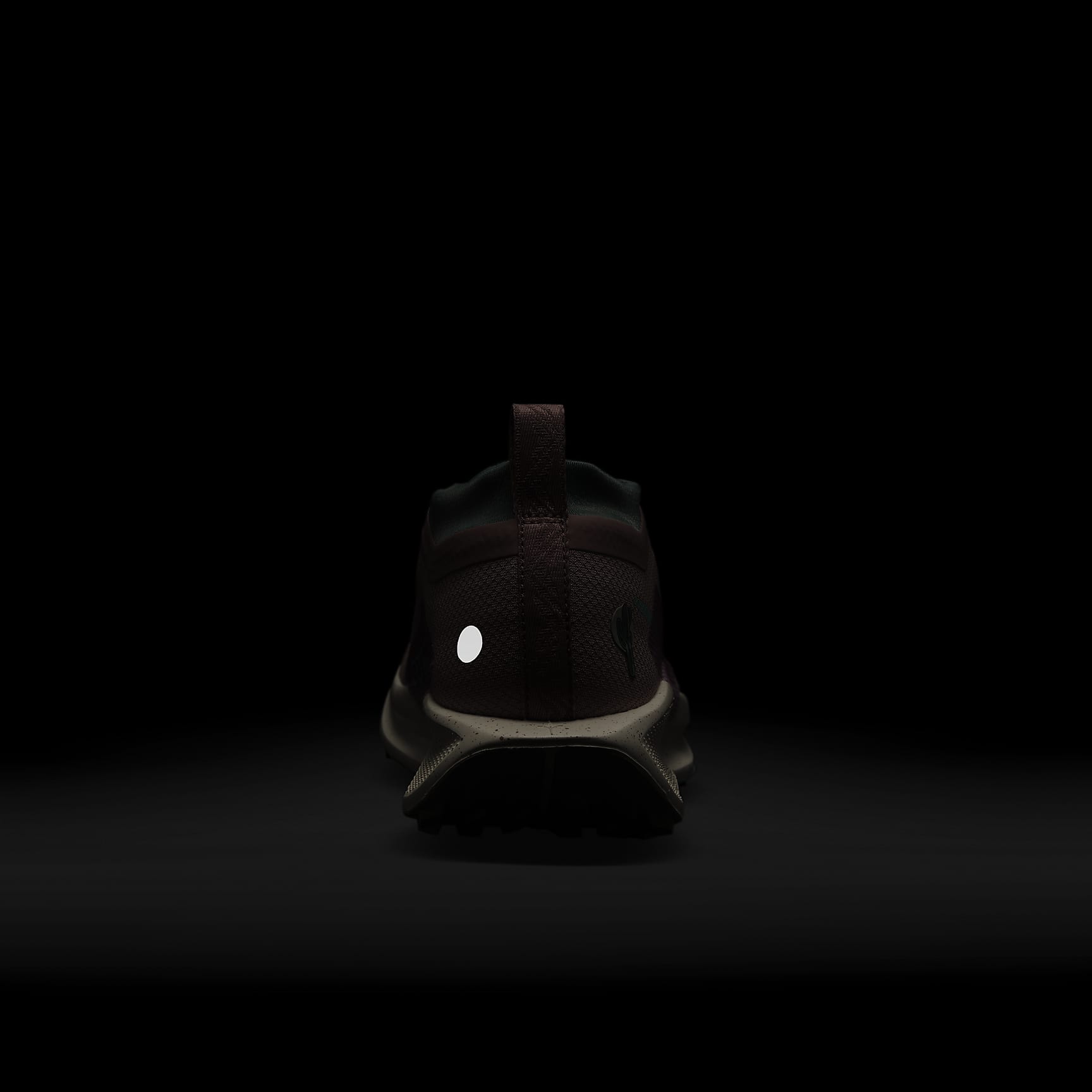 Nike Pegasus Trail 5 GORE-TEX Women's Waterproof Trail Running Shoes