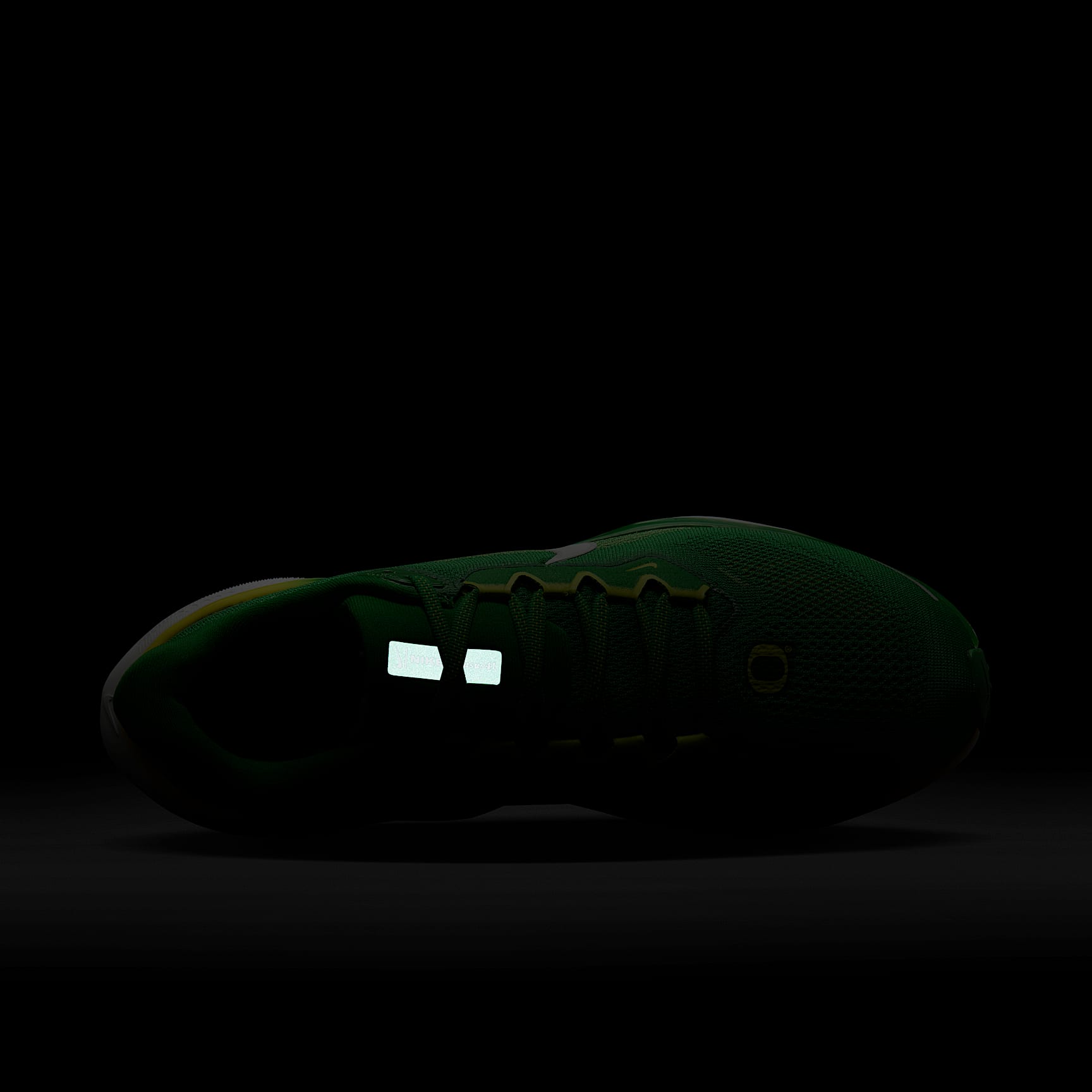 Oregon Pegasus 41 Men's Nike College Road Running Shoes