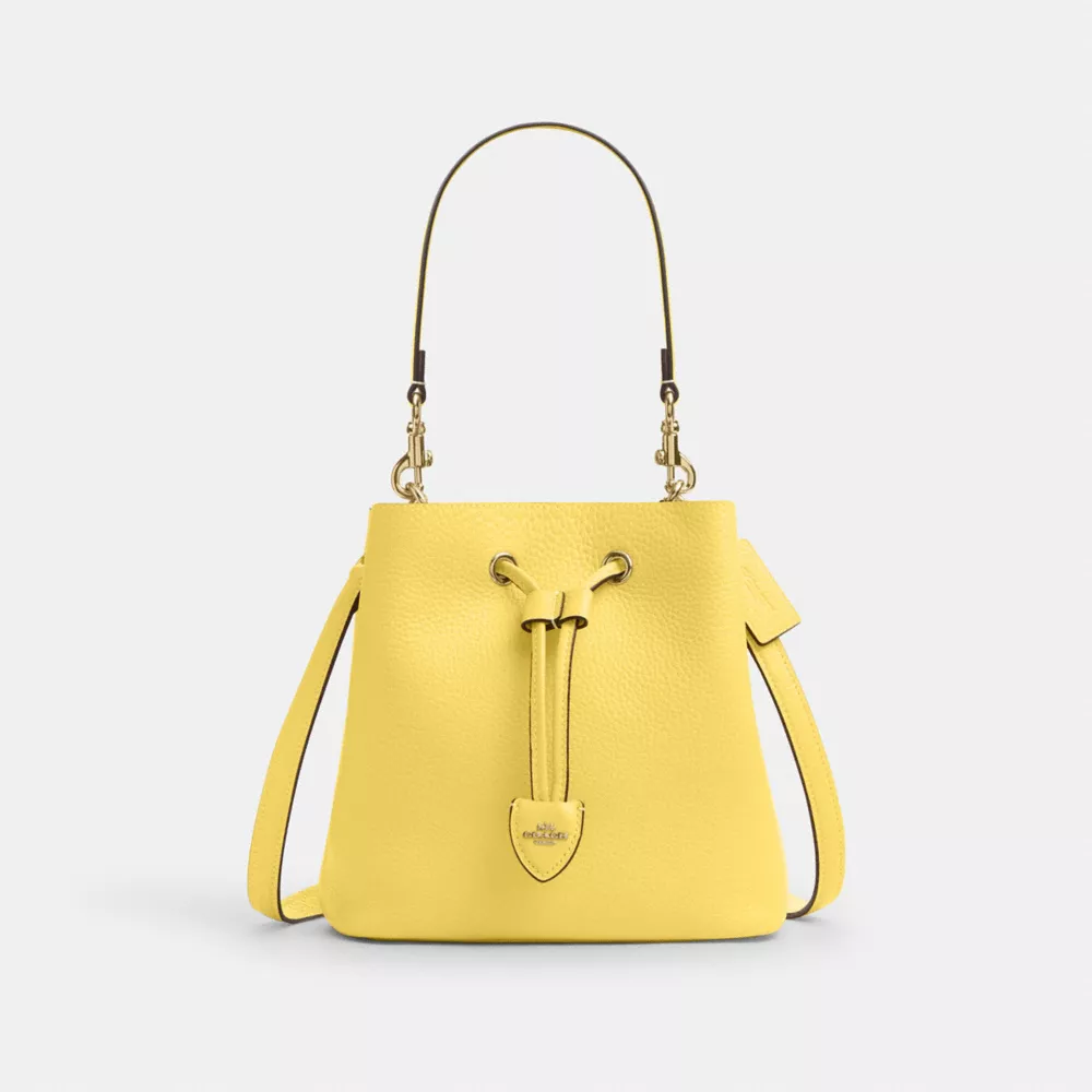 Сумка COACH Rowan Bucket Bag