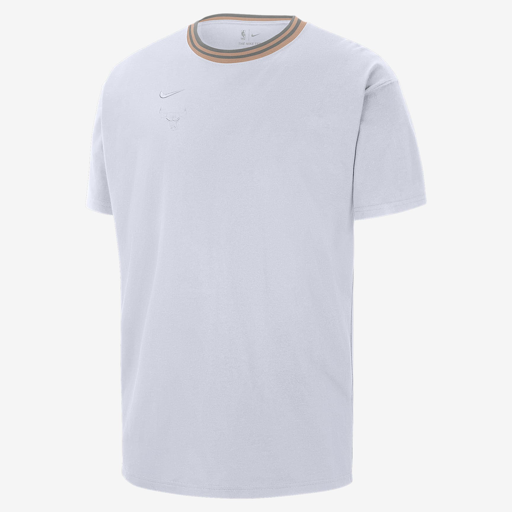 Chicago Bulls Courtside City Edition Premium Men's Nike NBA Max90 T-Shirt