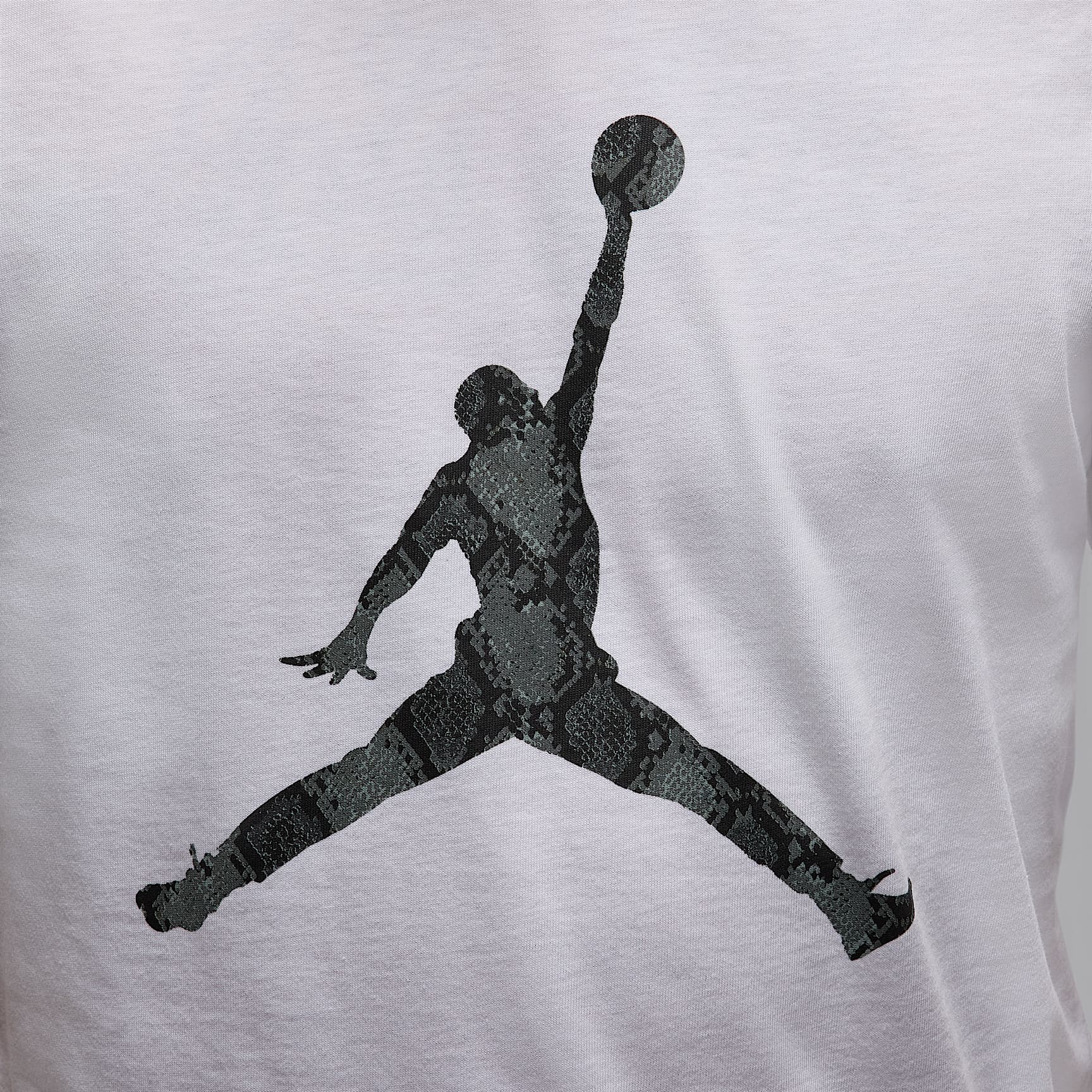 Jordan Sport Men's Dri-FIT T-Shirt