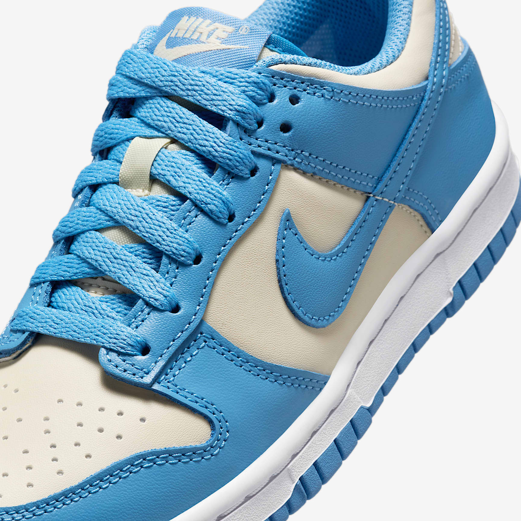 Nike Dunk Low Big Kids' Shoes