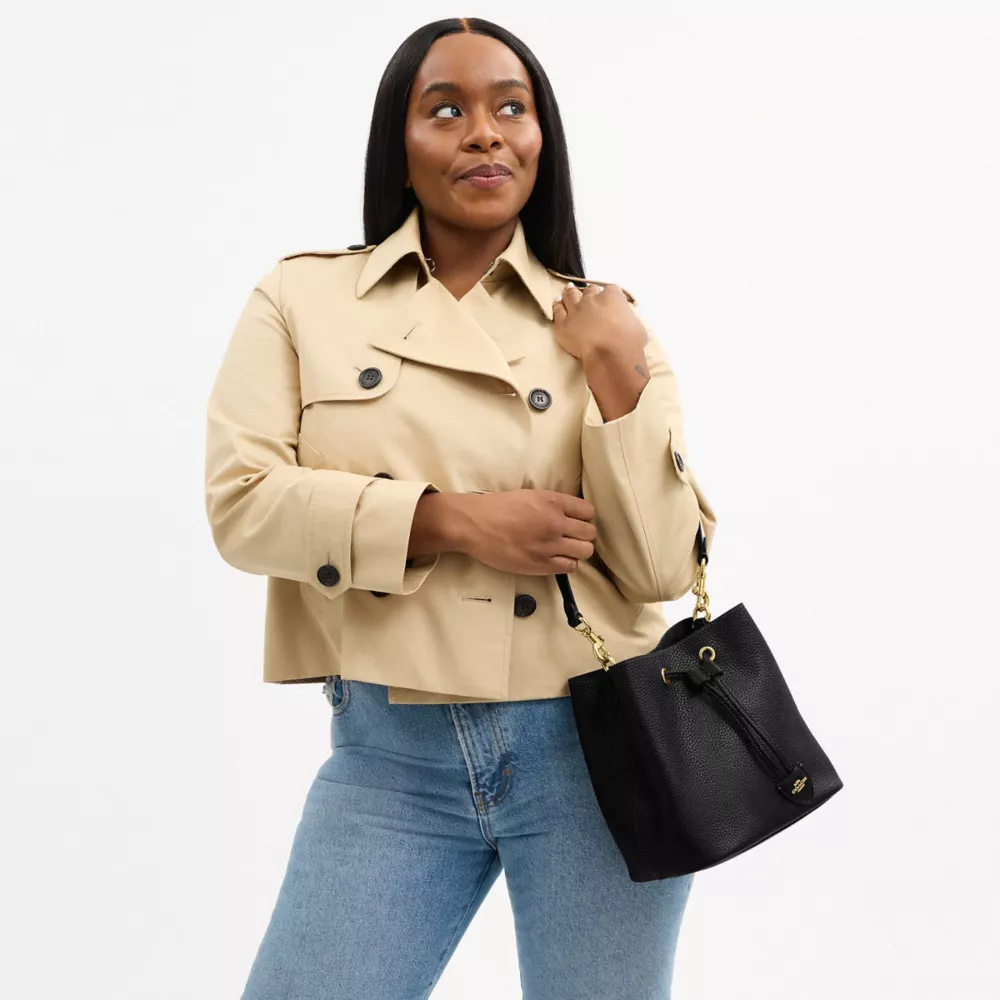 Сумка COACH Rowan Bucket Bag