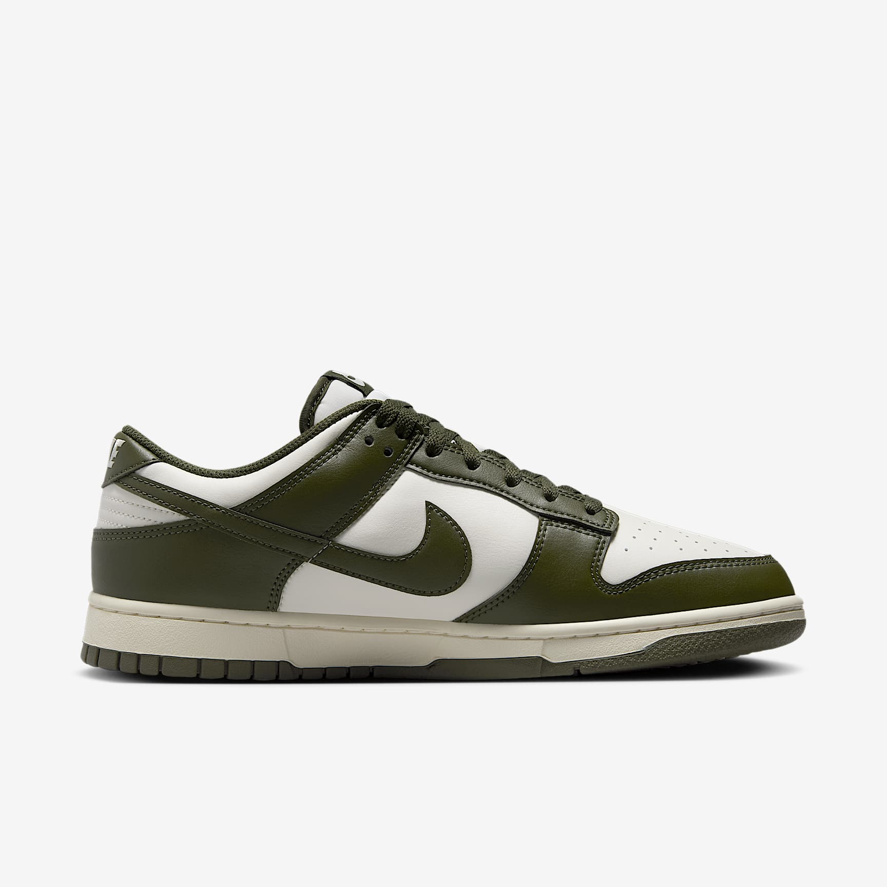 Nike Dunk Low Retro Men's Shoes