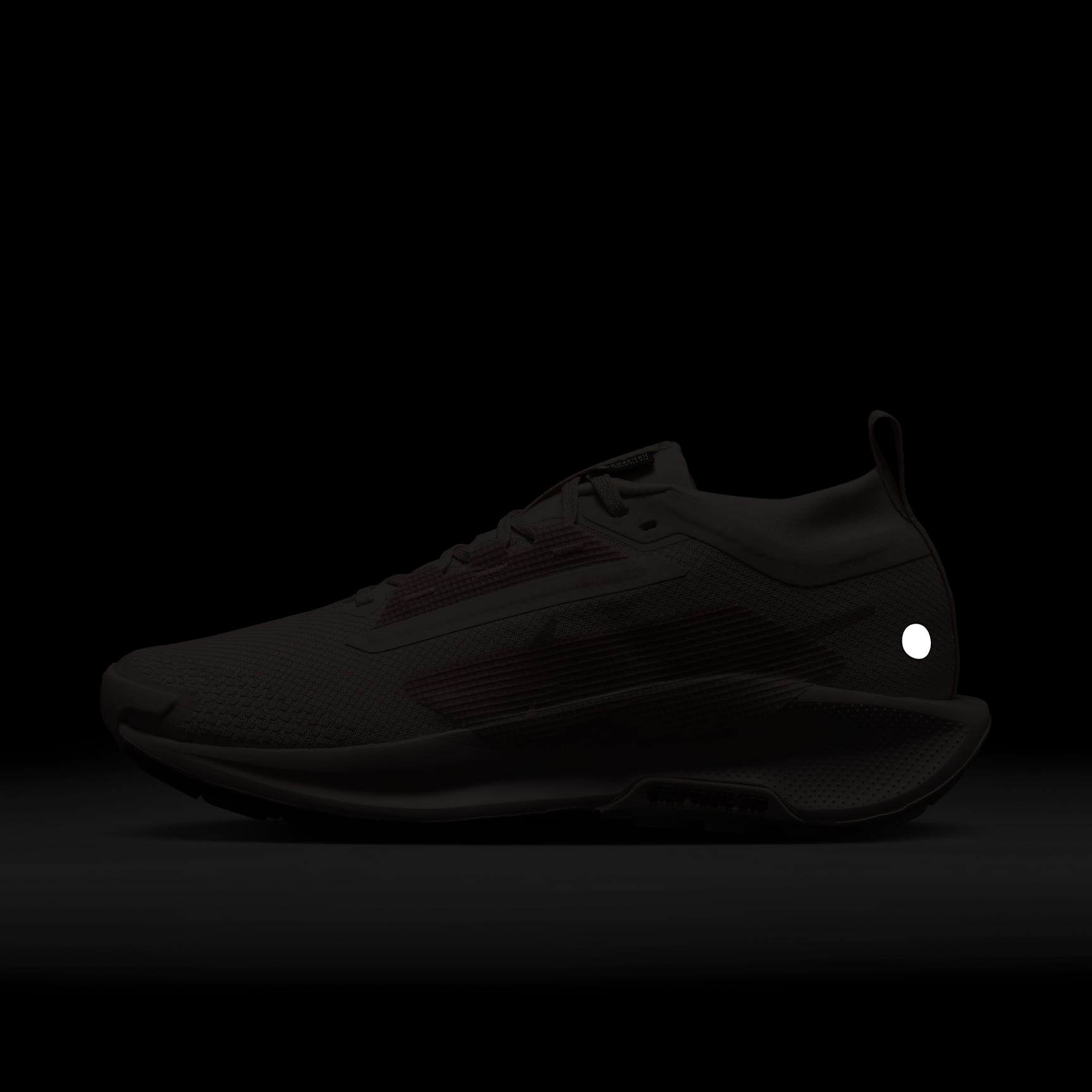 Nike Pegasus Trail 5 GORE-TEX Women's Waterproof Trail Running Shoes