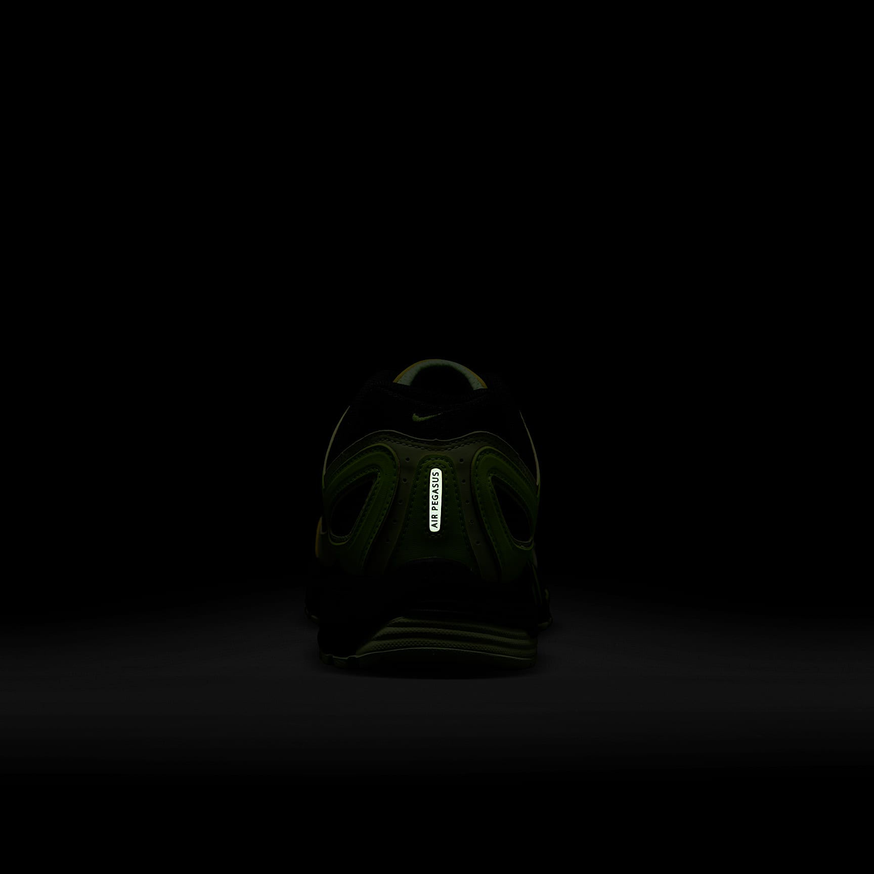 Nike Air Pegasus 2005 Men's Shoes