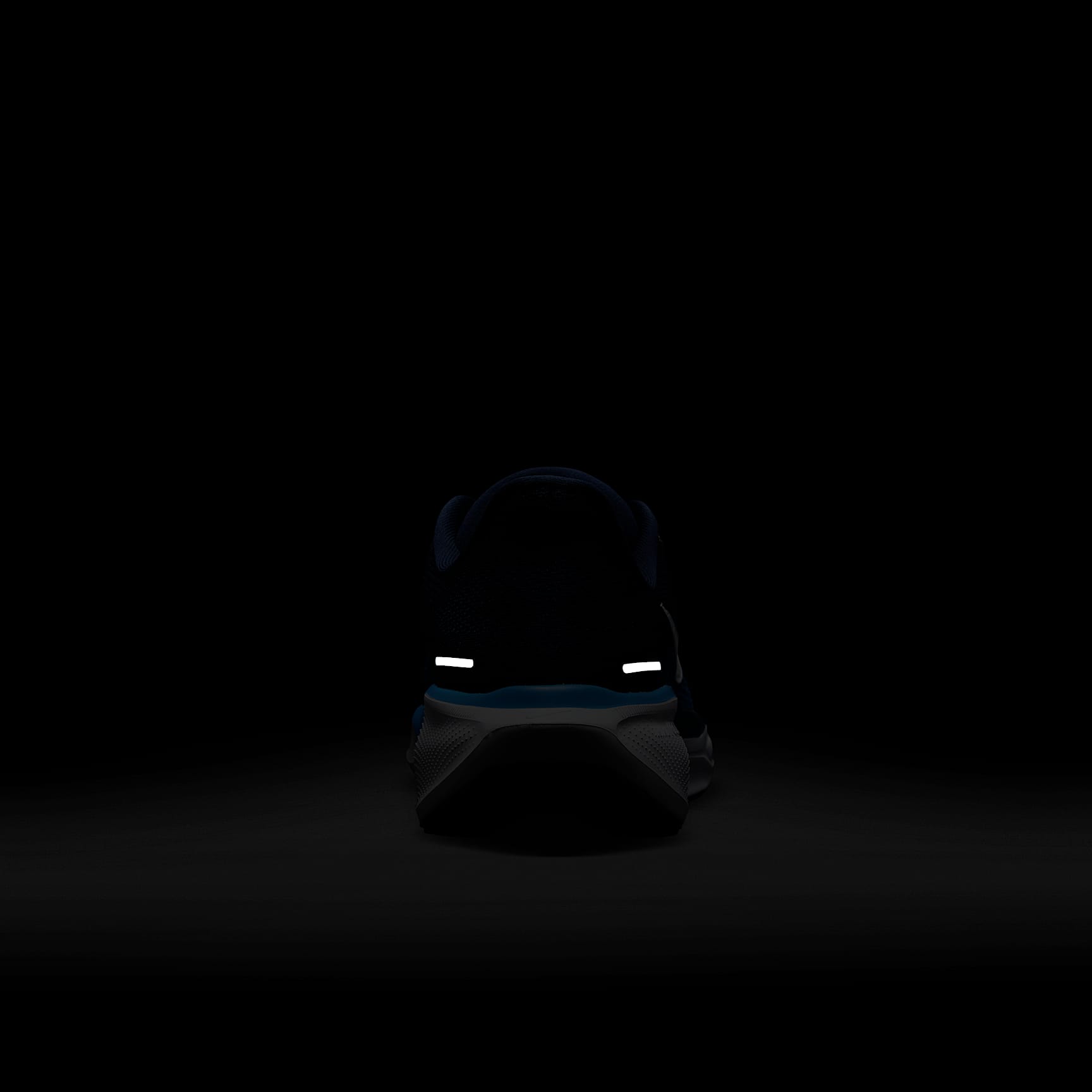 Nike Pegasus 41 NFL Tennessee Titans Men's Road Running Shoes