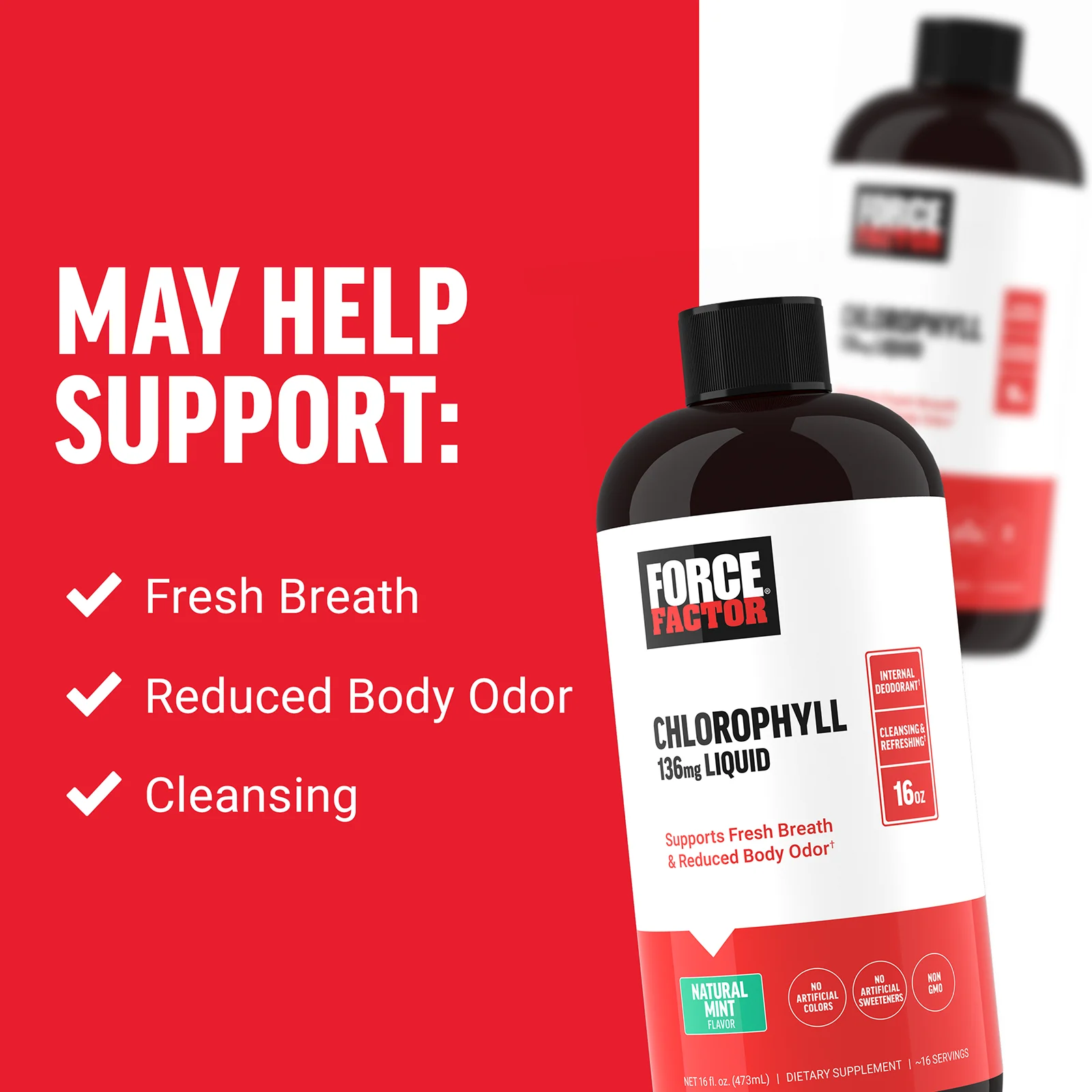 Force Factor, жидкий хлорофилл, натуральная мята, 136 мг, 473 мл (16 жидк. унций) (136 мг в 2 ст. л.)