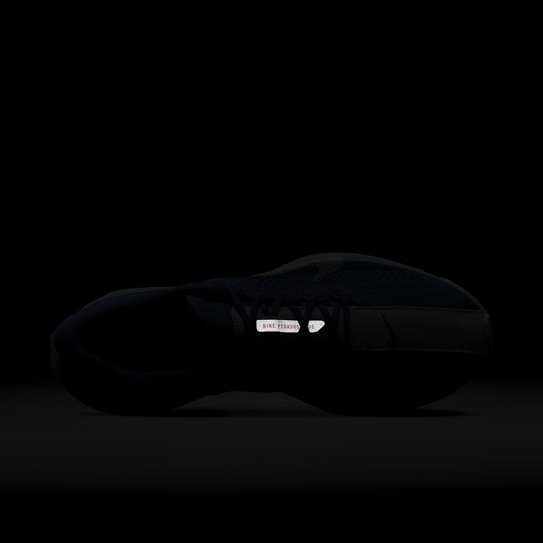 Nike Pegasus Plus Road Running Shoes