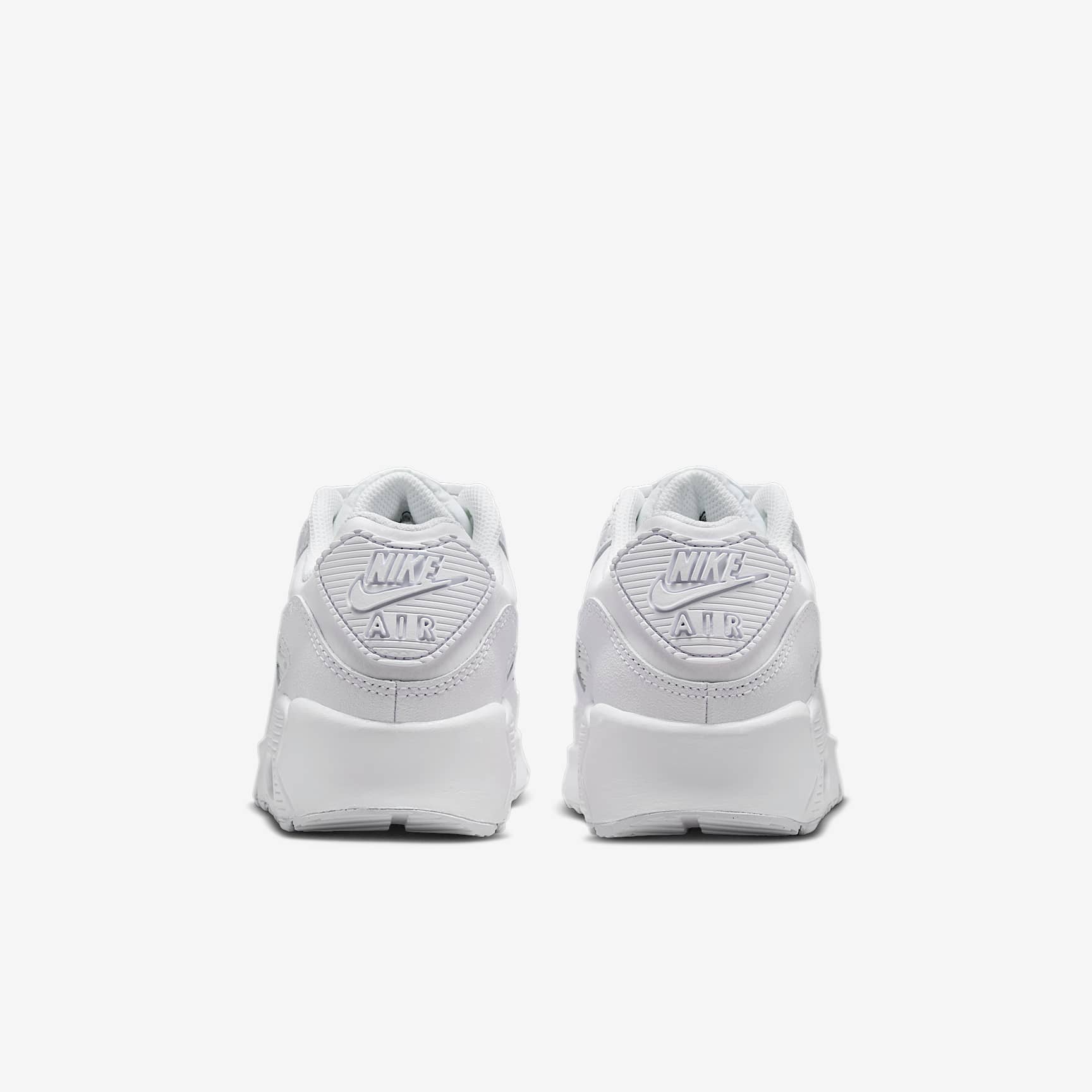 Nike Air Max 90 LTR Big Kids’ Shoes