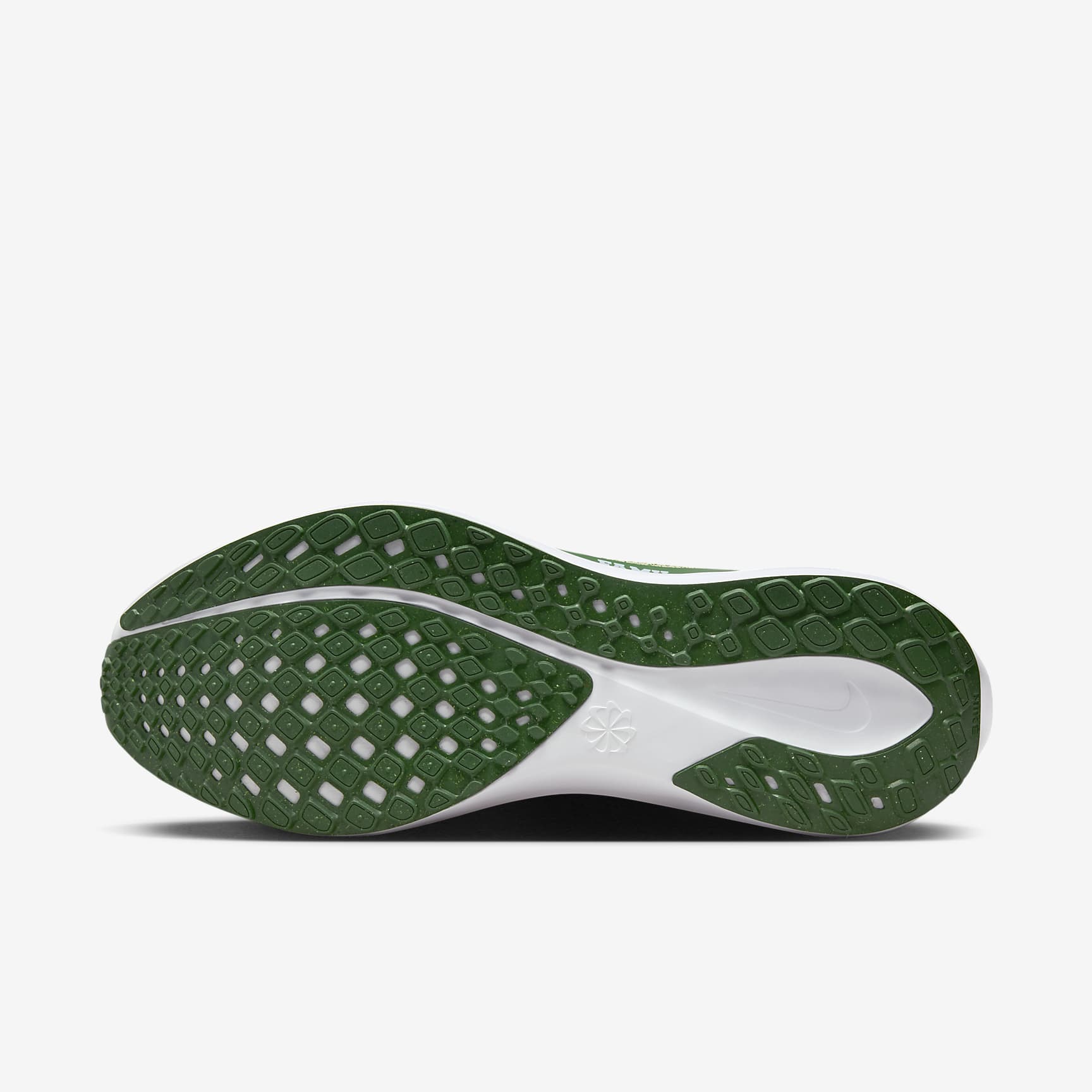 FAMU Pegasus 41 Men's Nike College Road Running Shoes