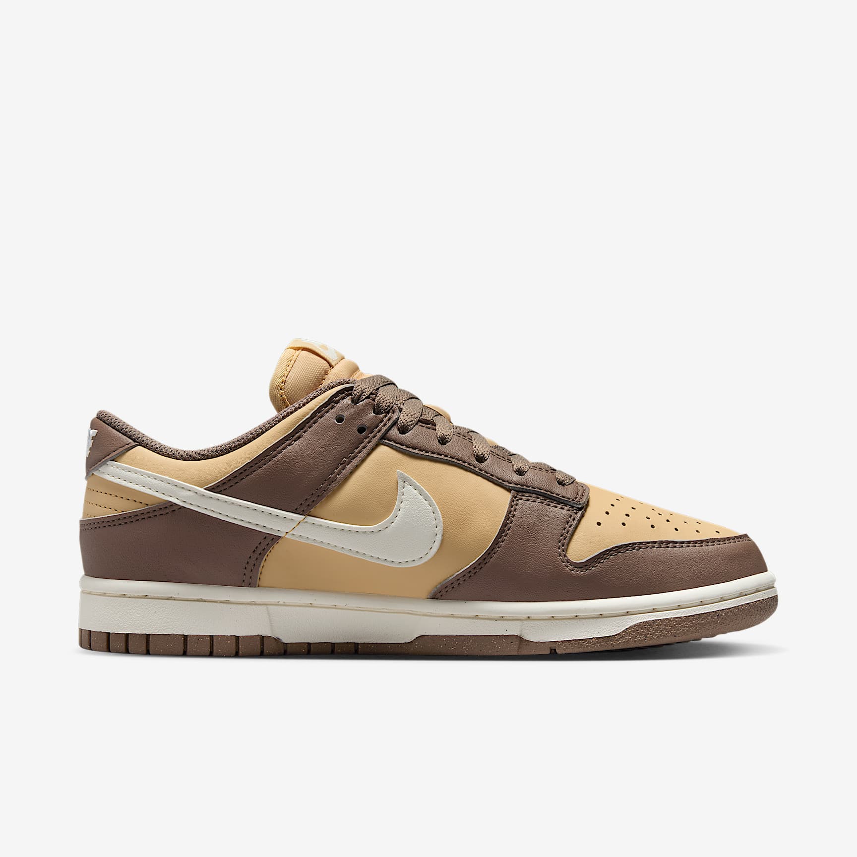 Nike Dunk Low Next Nature Women's Shoes