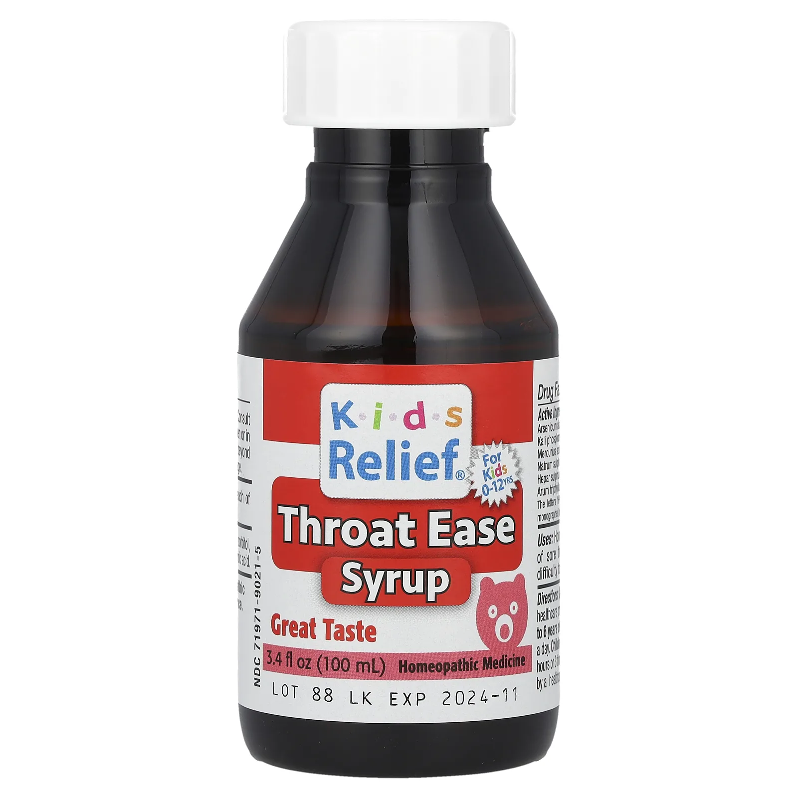 Homeolab USA, Kid's Relief®, сироп для облегчения горла, 0–12 лет, 100 мл (3,4 жидк. Унции)