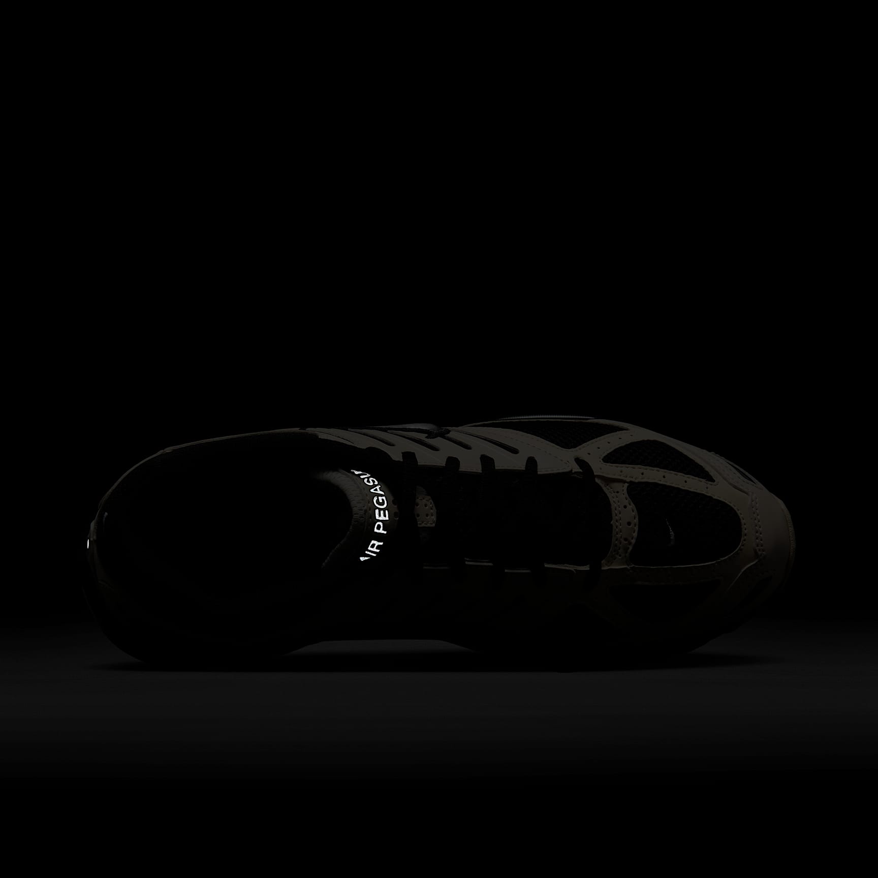 Nike Air Pegasus 2005 Men's Shoes