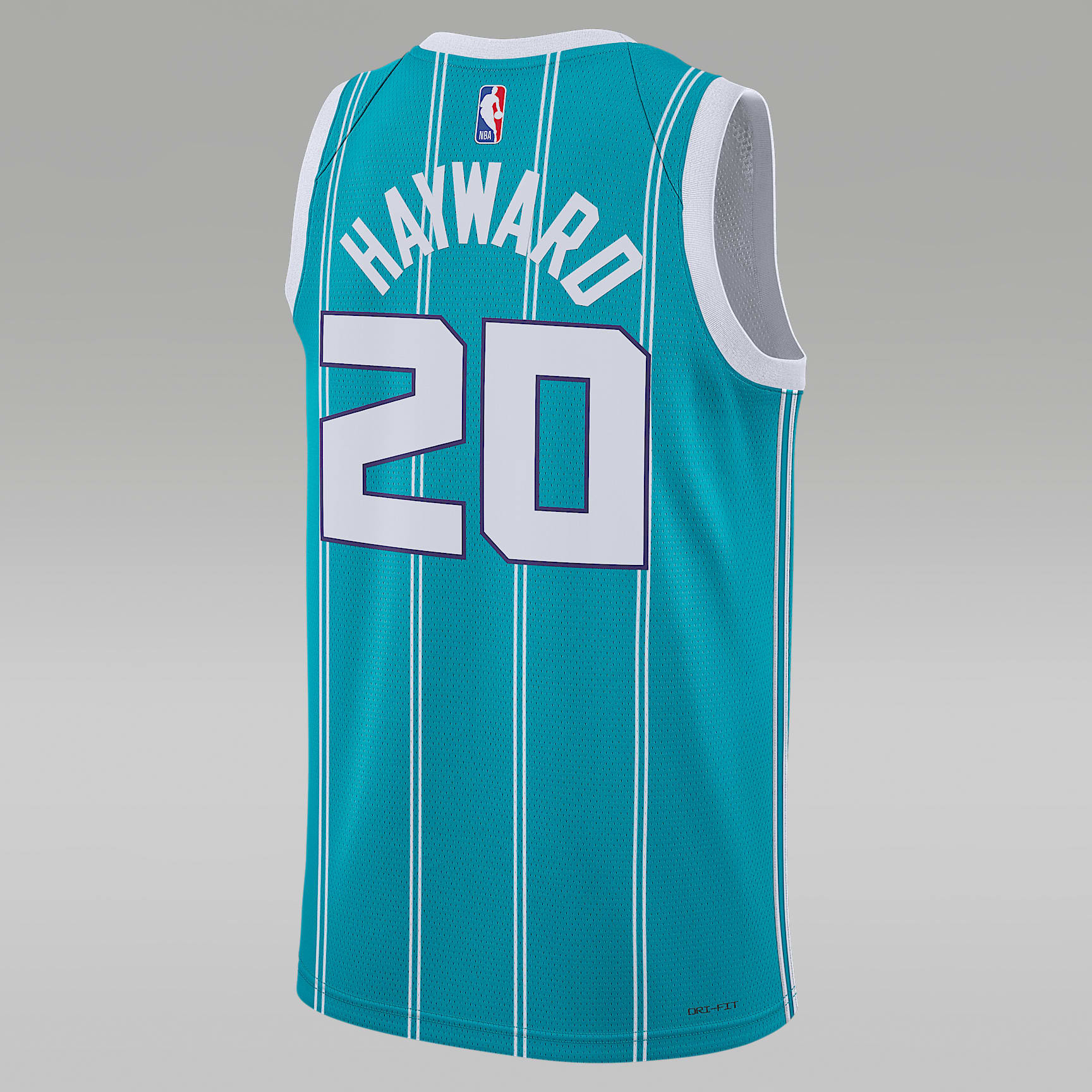 Charlotte Hornets Icon Edition 2022/23 Men's Jordan Dri-FIT NBA Swingman Jersey