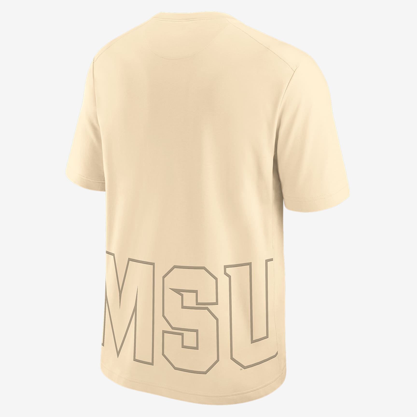 Michigan State Spartans Performance Primary Statement Men's Nike Dri-FIT College T-Shirt