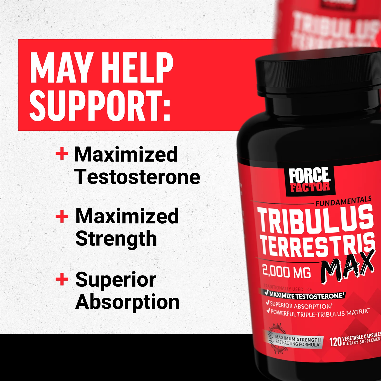 Force Factor, Fundamentals, якорцы стелющиеся (Tribulus terrestris Max), 2000 мг, 120 растительных капсул (500 мг в 1 капсуле)