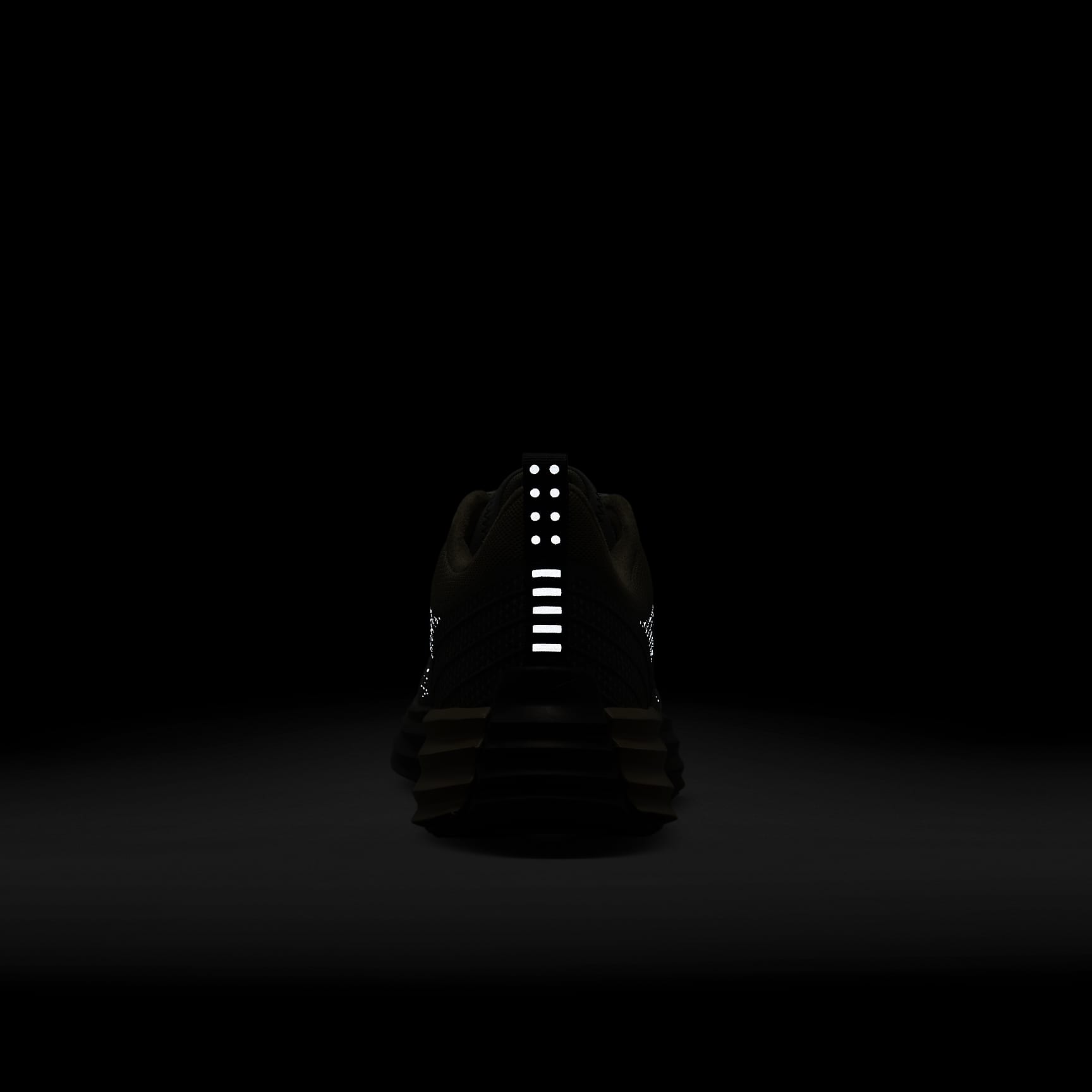 Nike Lunar Roam SE Men's Shoes
