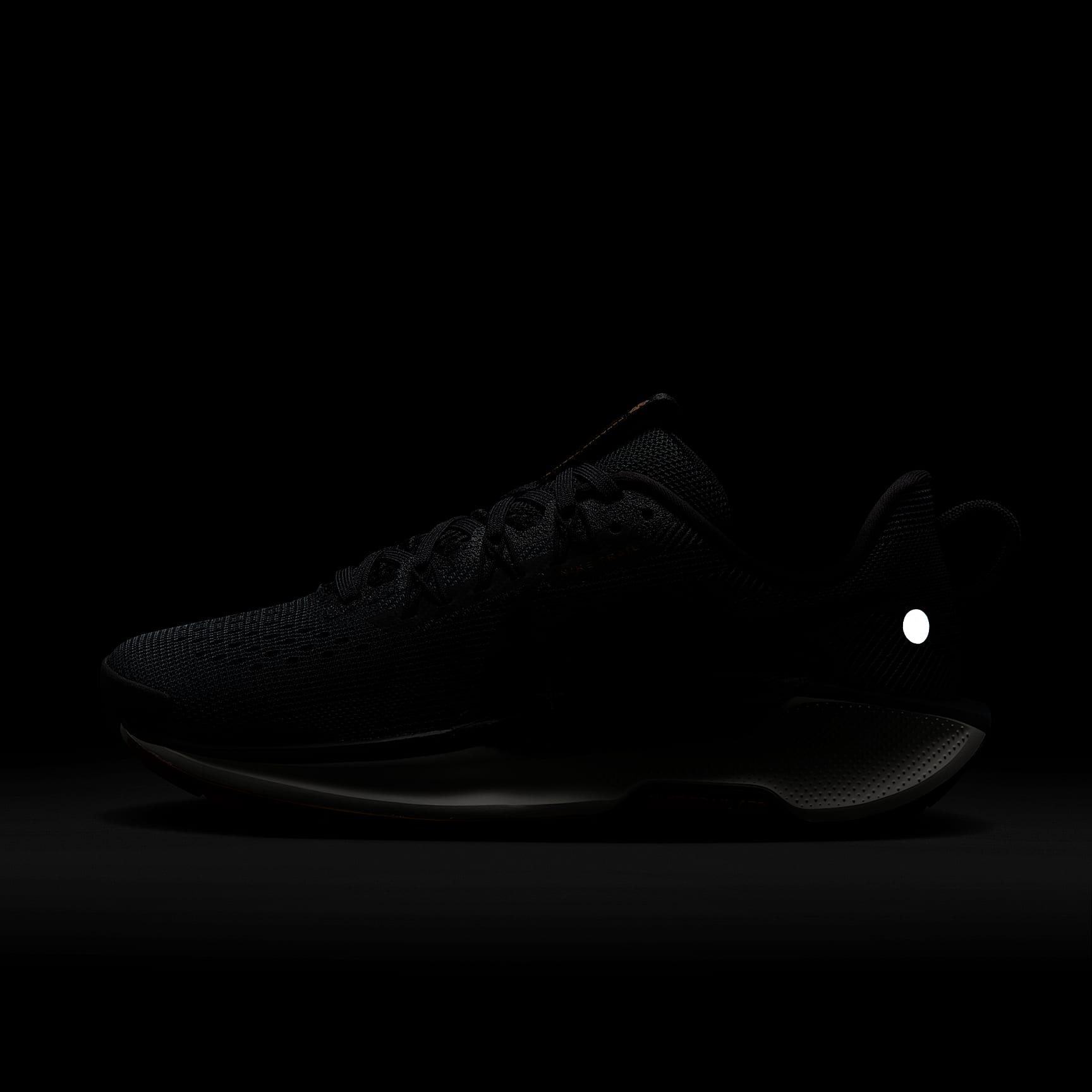 Nike Pegasus Trail 5 Women's Trail Running Shoes