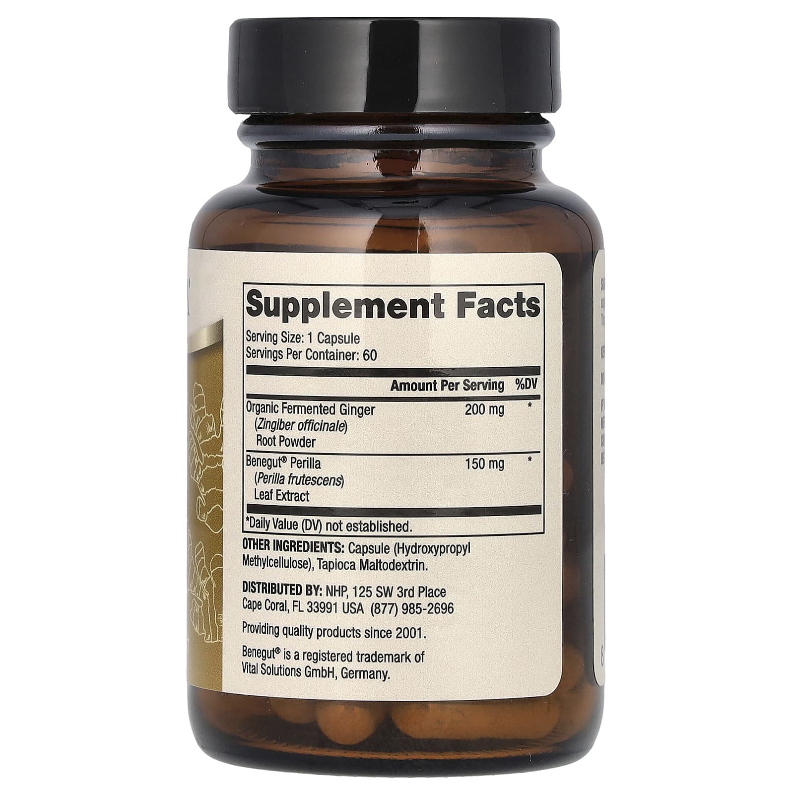 Dr. Mercola, ферментированный имбирь с бенегутом, 60 капсул