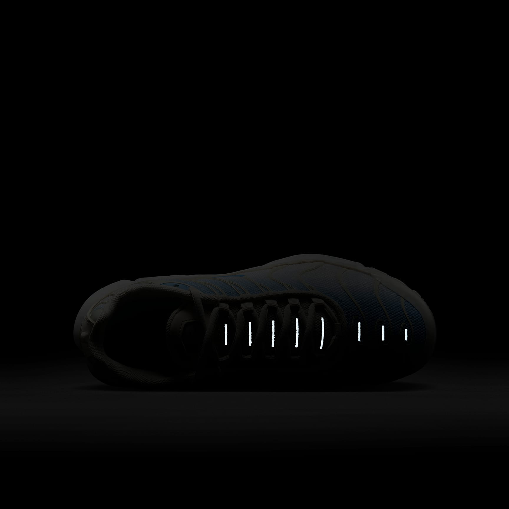 Nike Air Max Plus Big Kids' Shoes