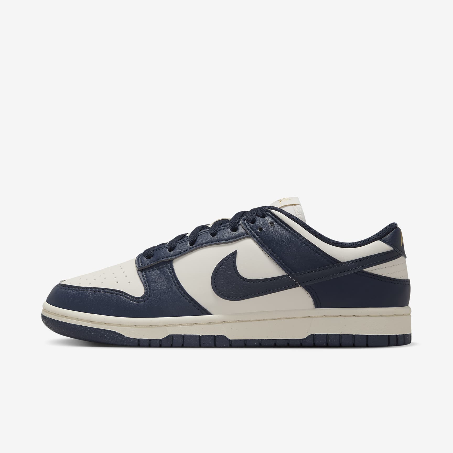 Nike Dunk Low Next Nature Women's Shoes