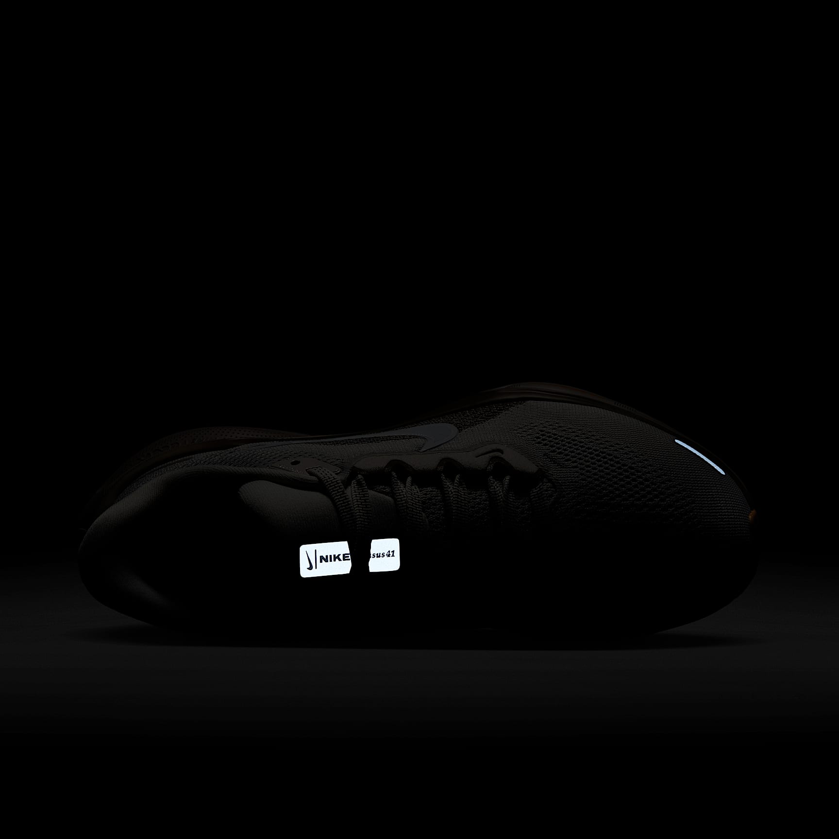 Nike Pegasus 41 Women's Road Running Shoes